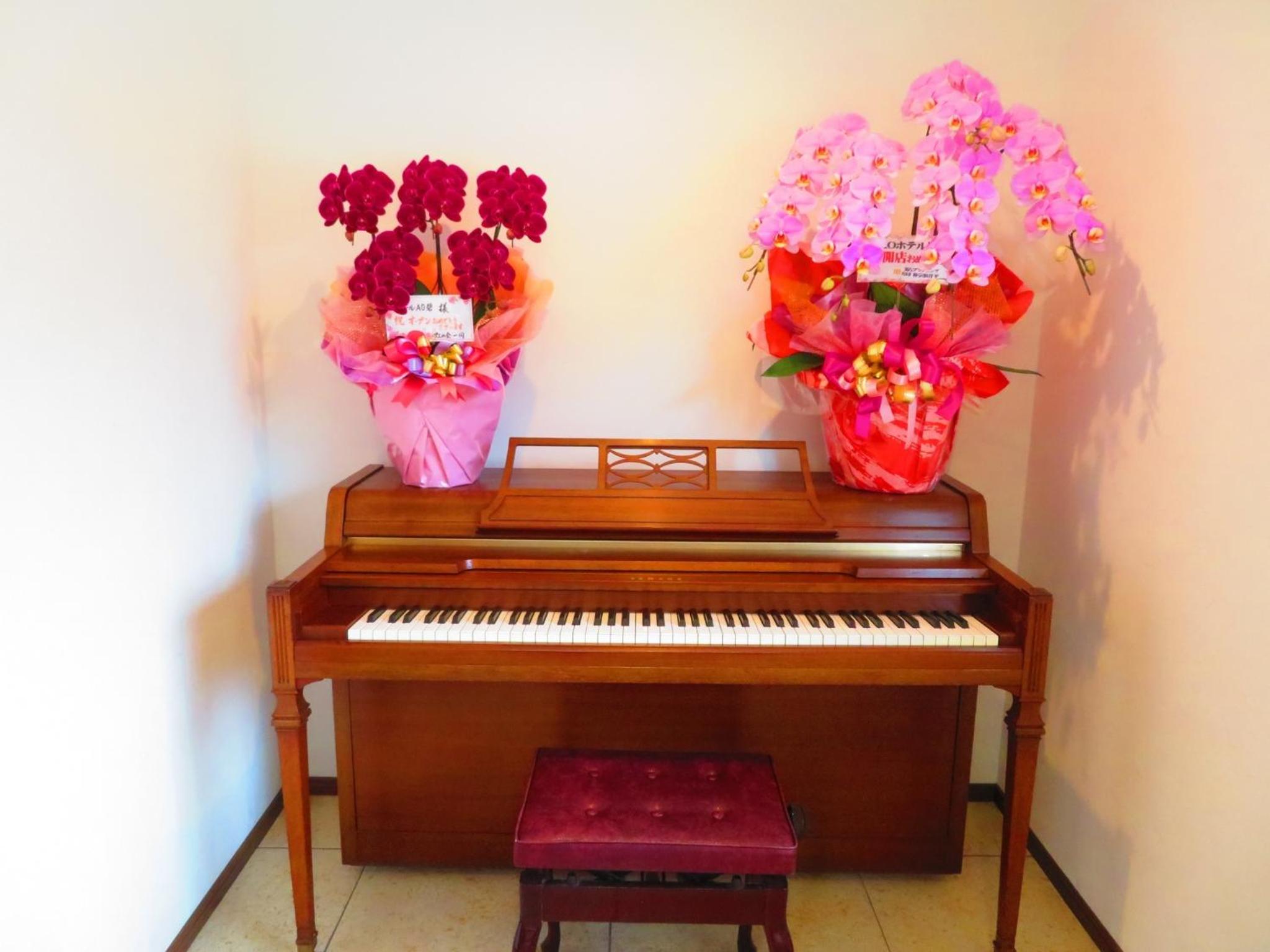 Studio - Photo 27