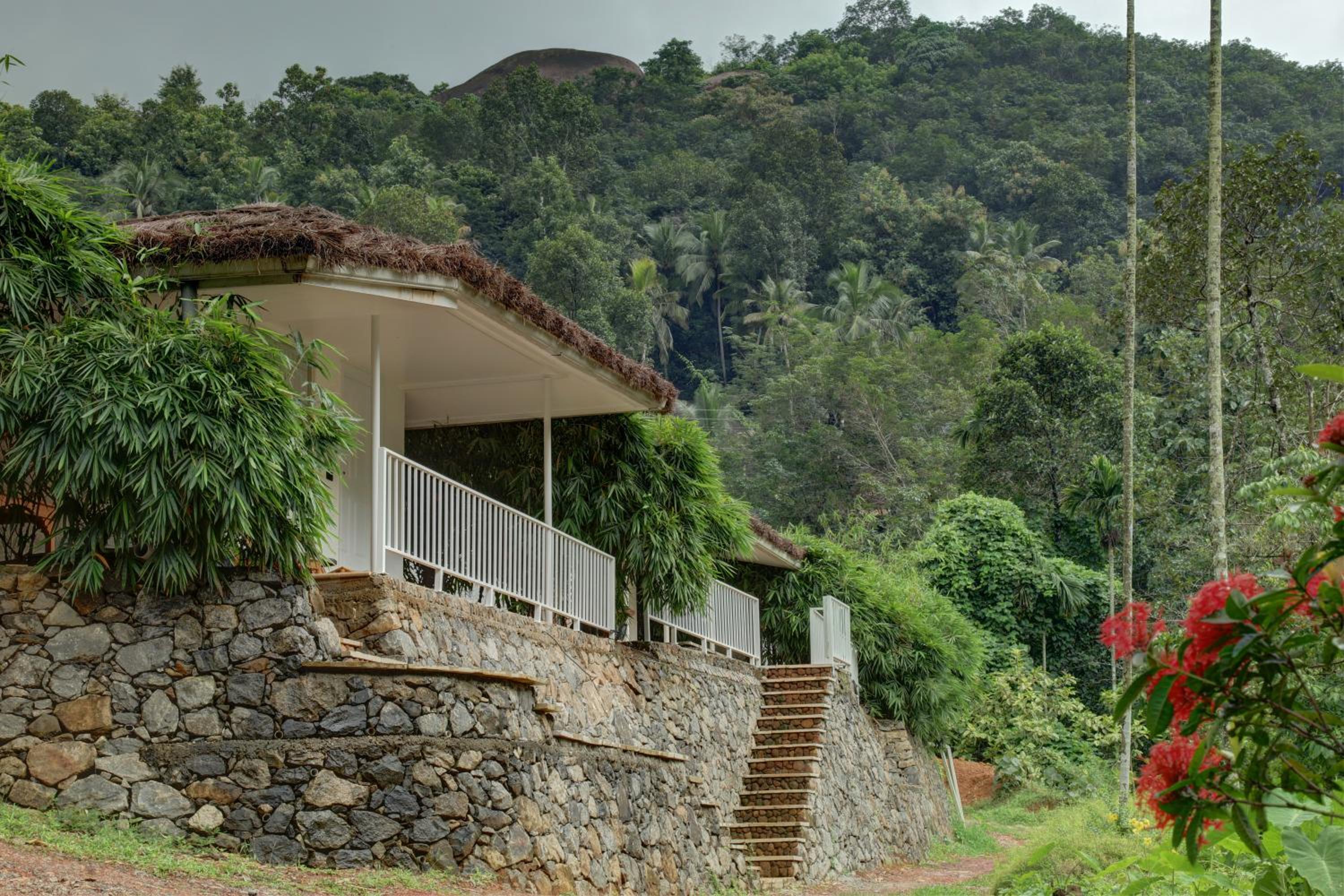 Deluxe Villa photo 2
