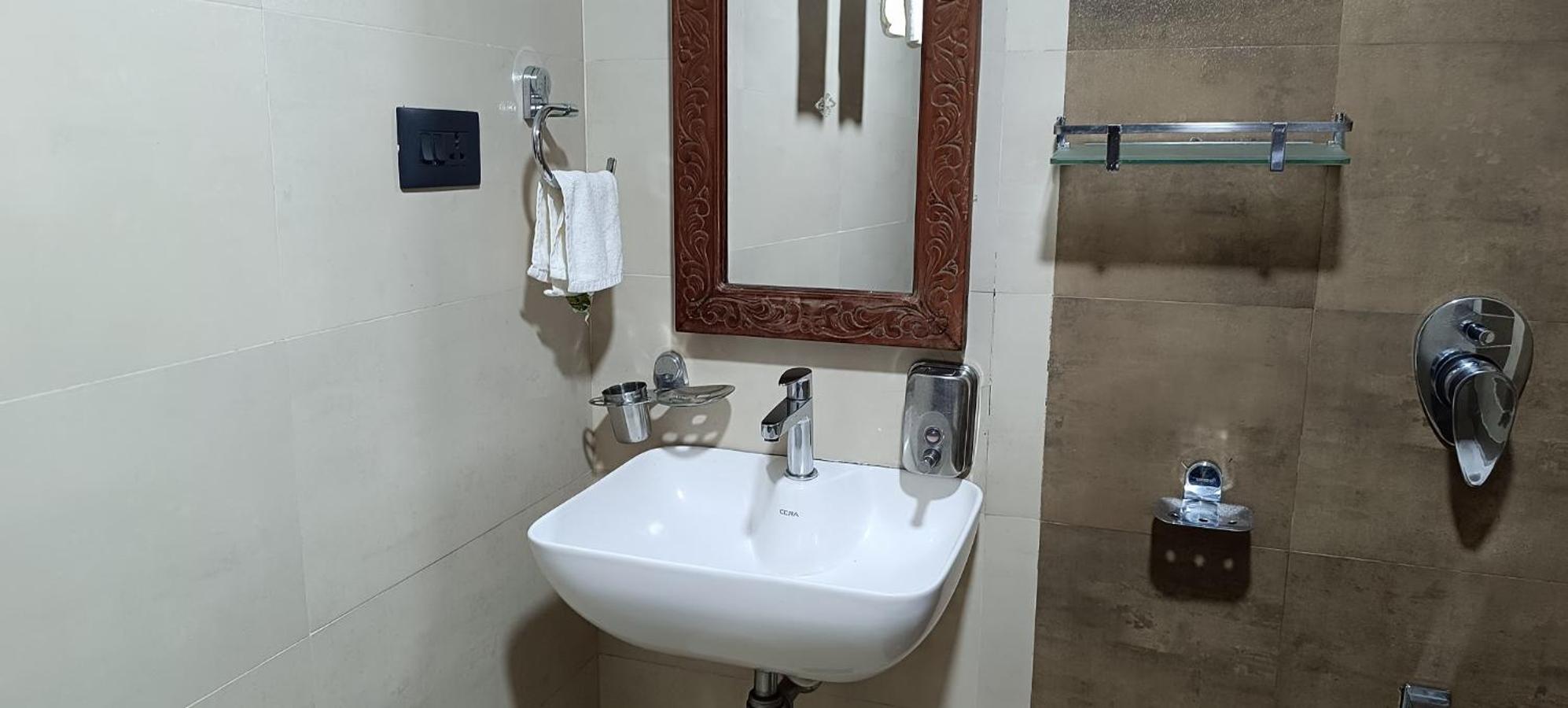Deluxe Double or Twin Room with Mountain View photo 2