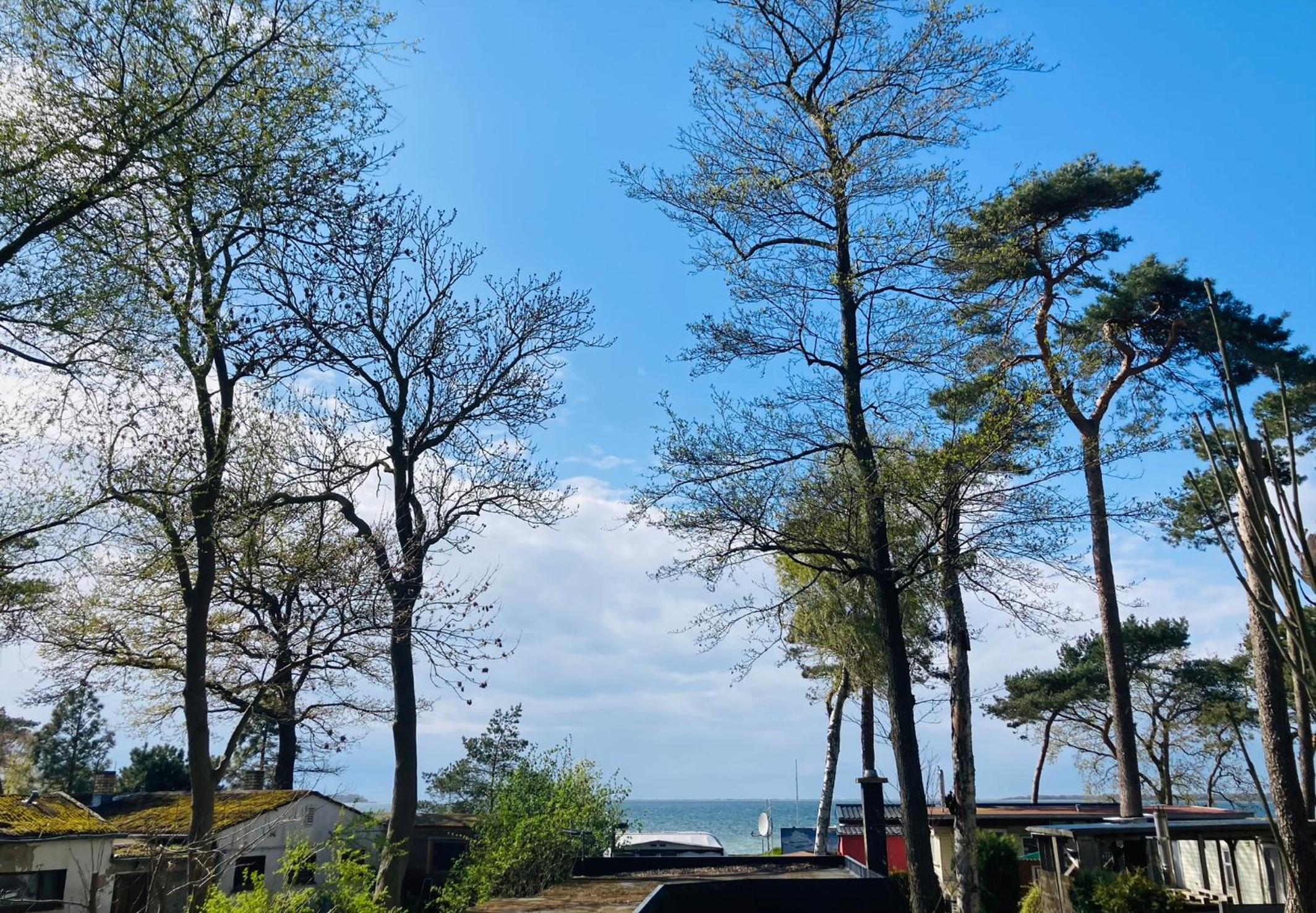 Bungalow - Water Front  photo 2