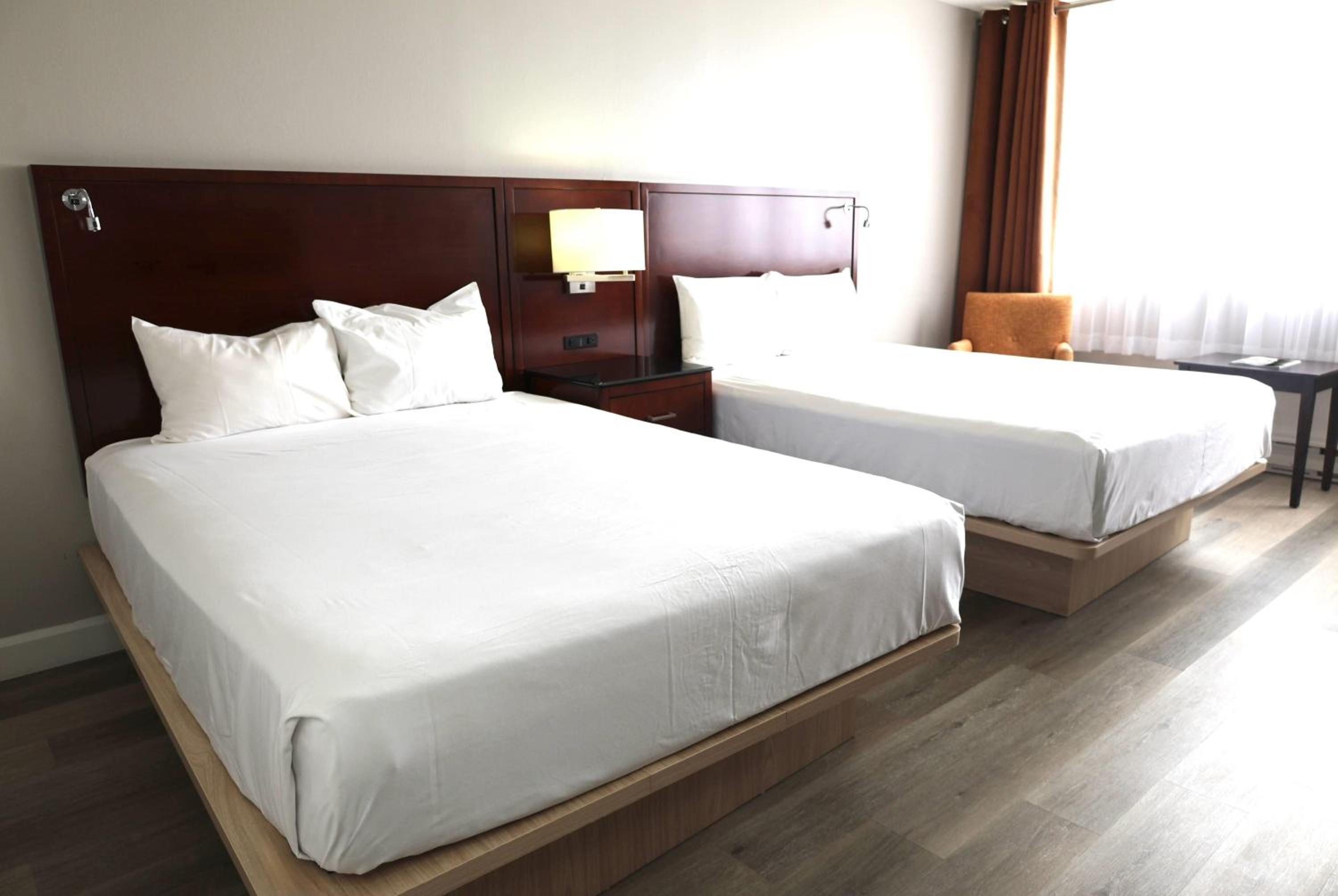 Distinction Queen Room with Two Queen Beds
