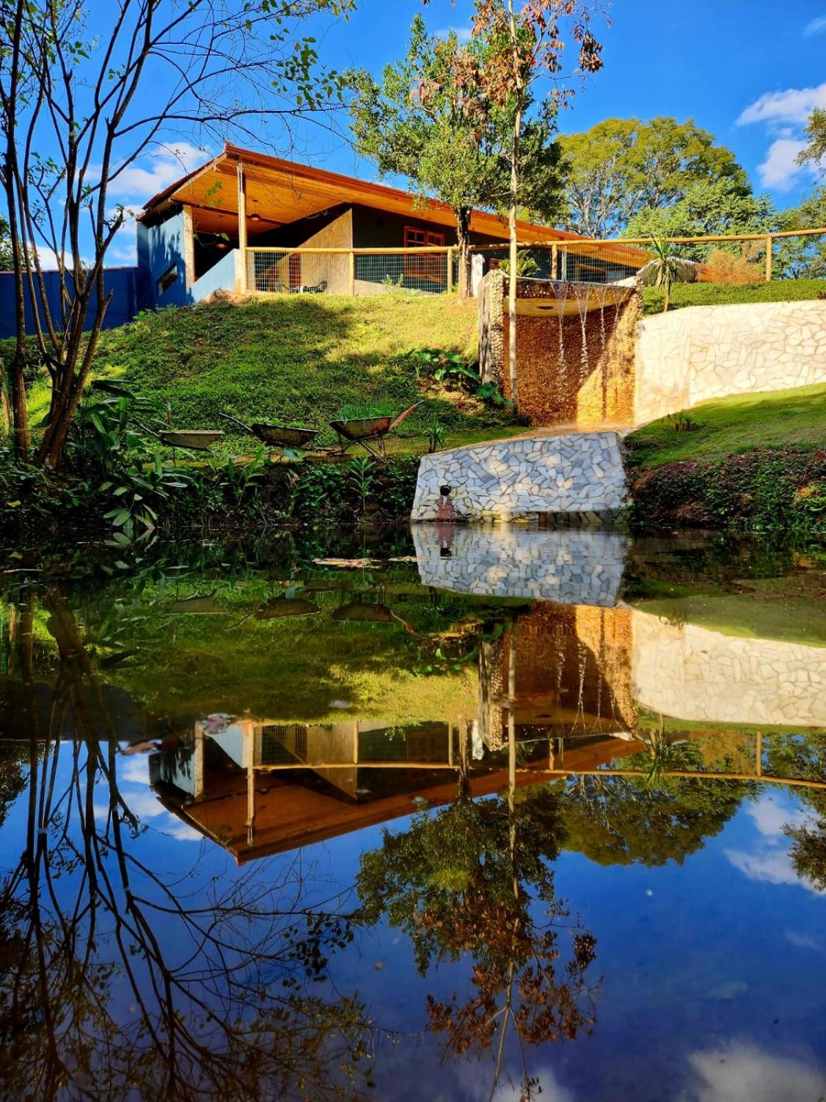 Standard Villa photo 2