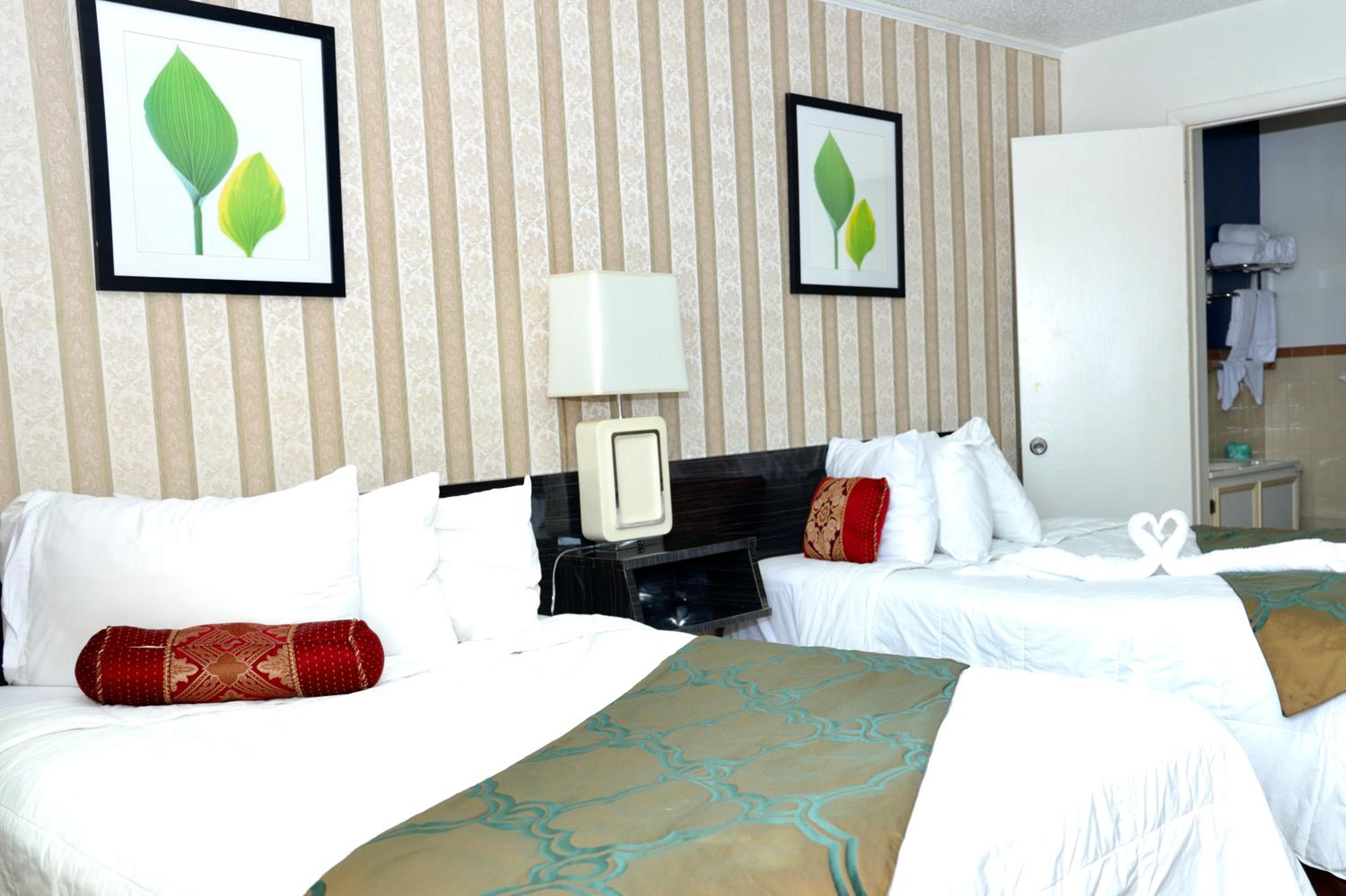 Deluxe Double Room photo 2