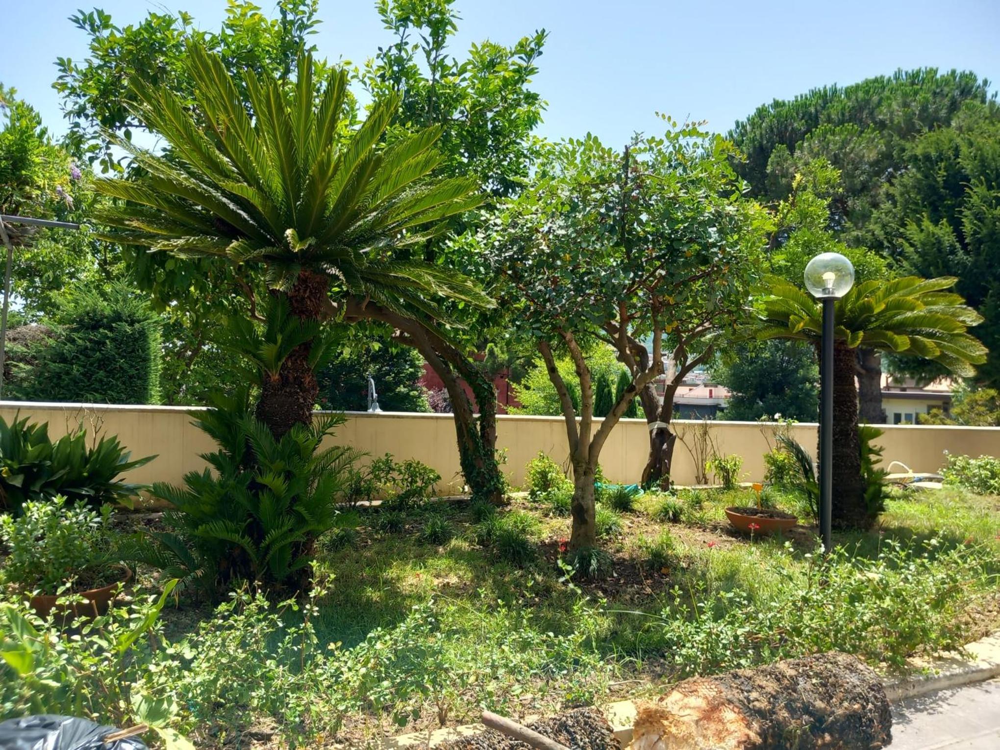 Villa Maria Cristina d'Amico, Billede 6