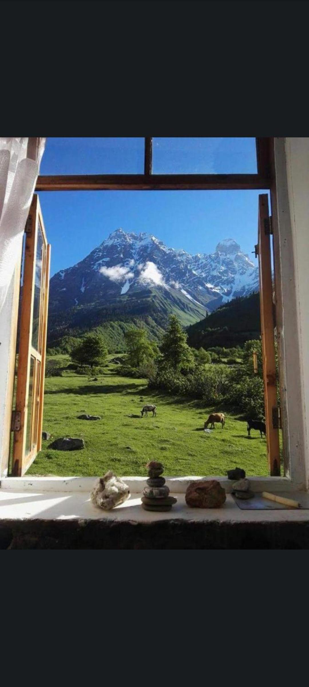 Twin Room with Mountain View photo 3