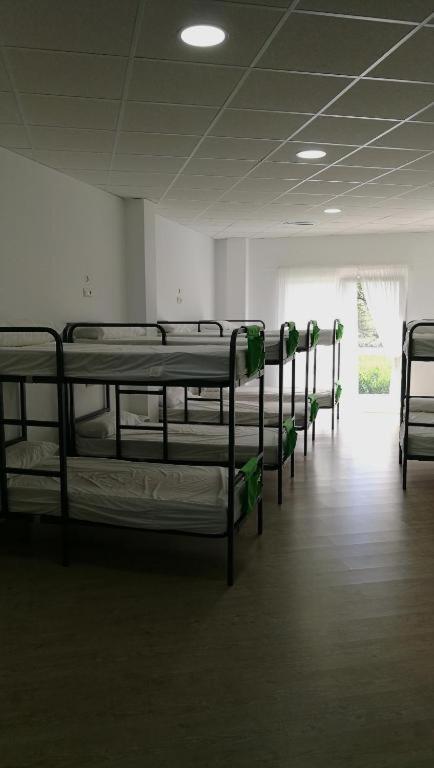 Single Bed in Mixed Dormitory Room