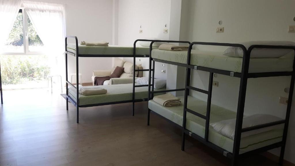 Single Bed in Mixed Dormitory Room photo 3