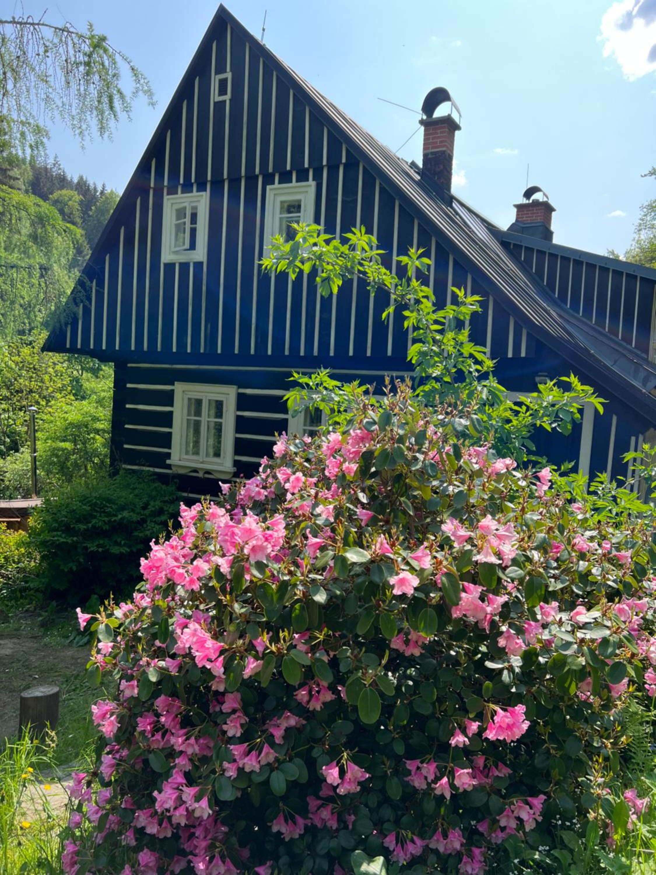 Chalet photo 3