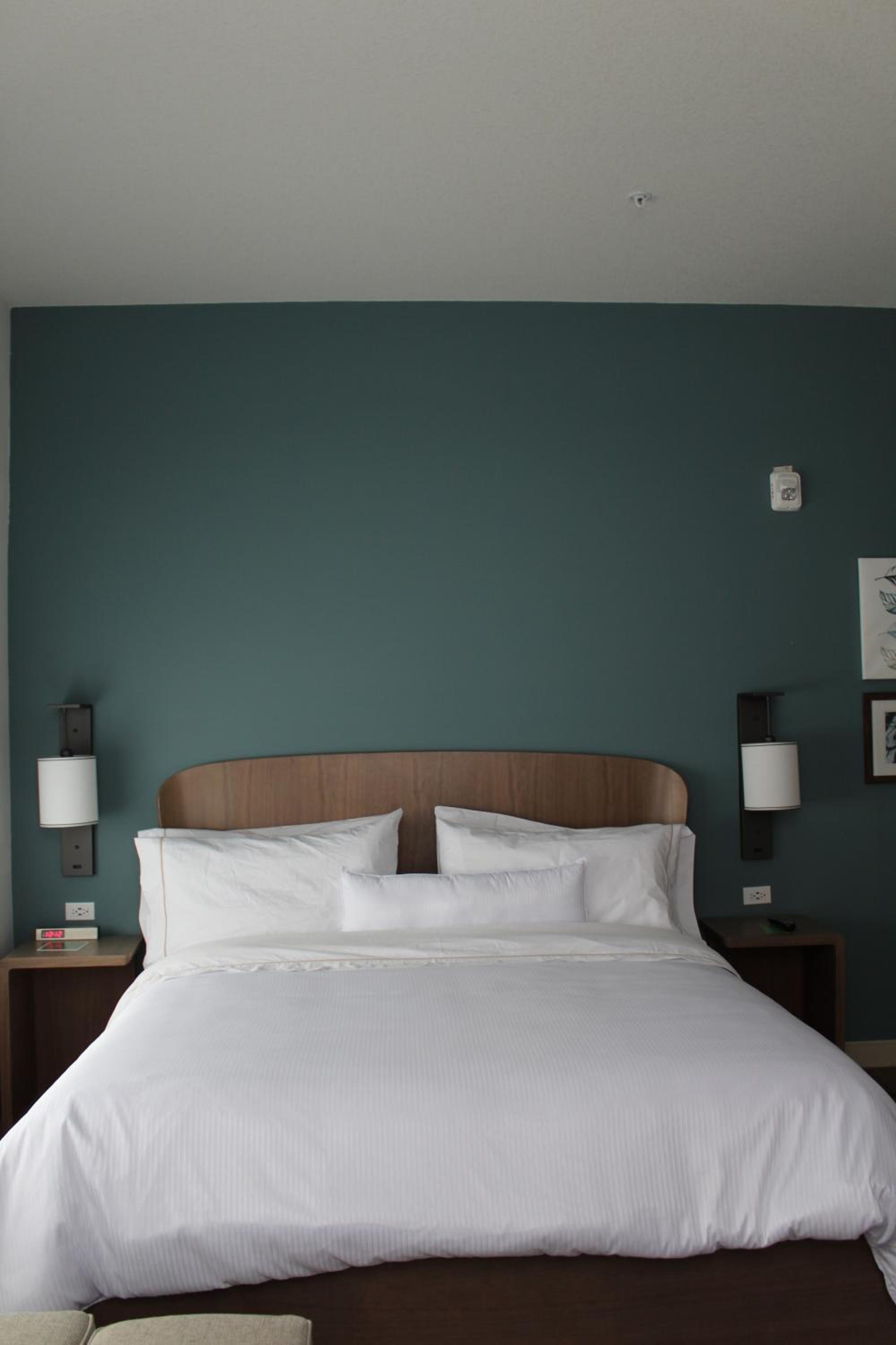 Executive Suite, 1 King, Alternate bed: sofa bed