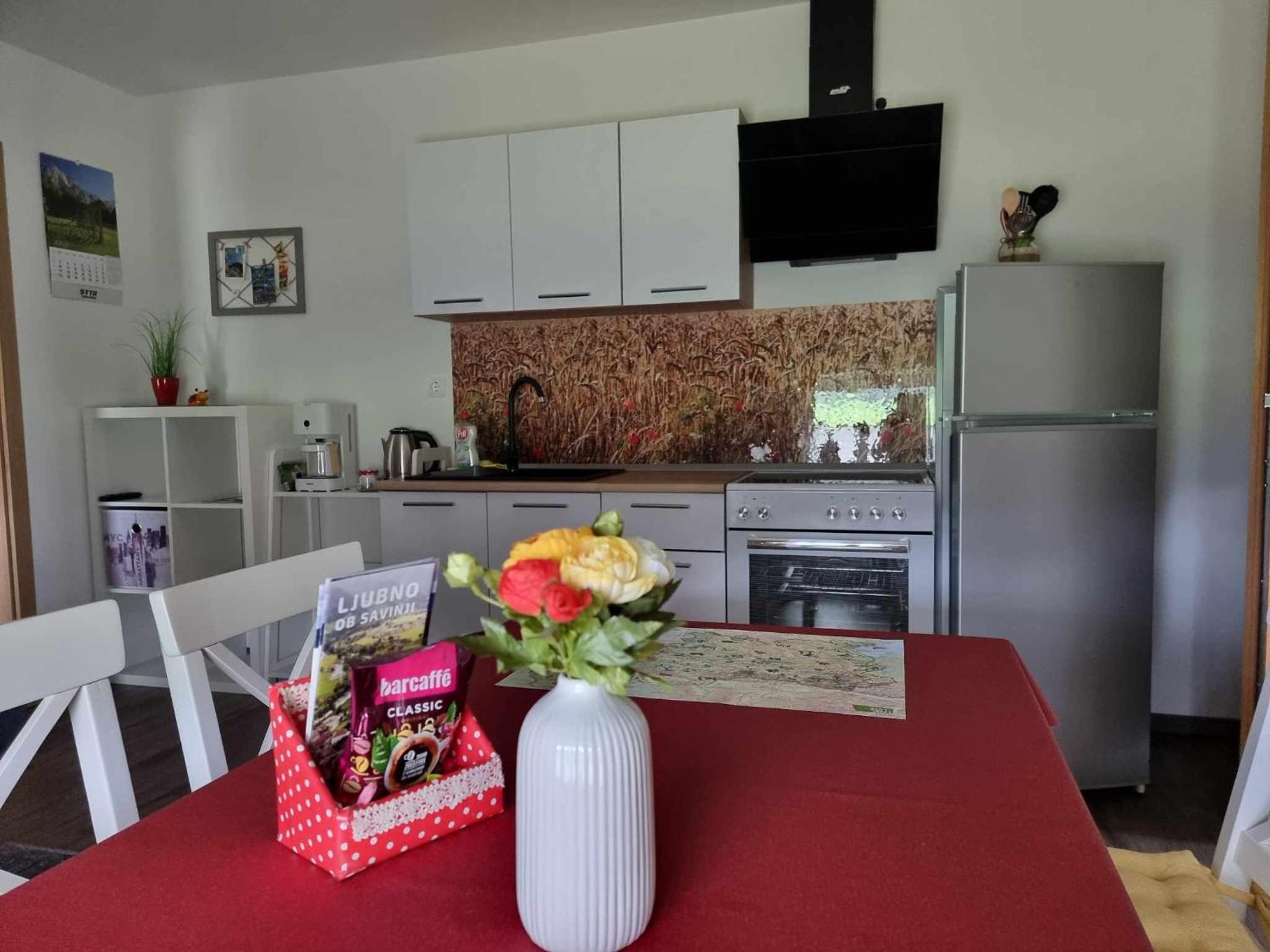 Apartment with Mountain View photo 3