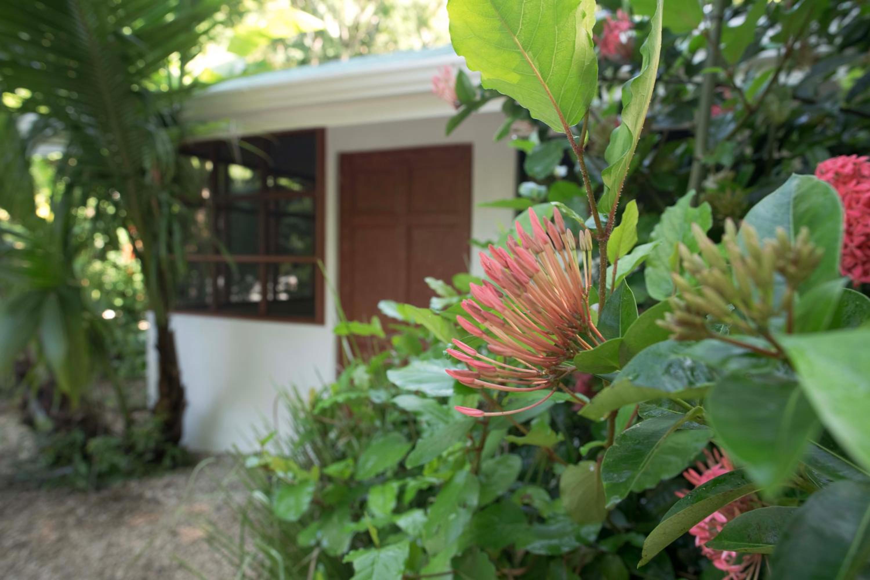 Casita photo 2