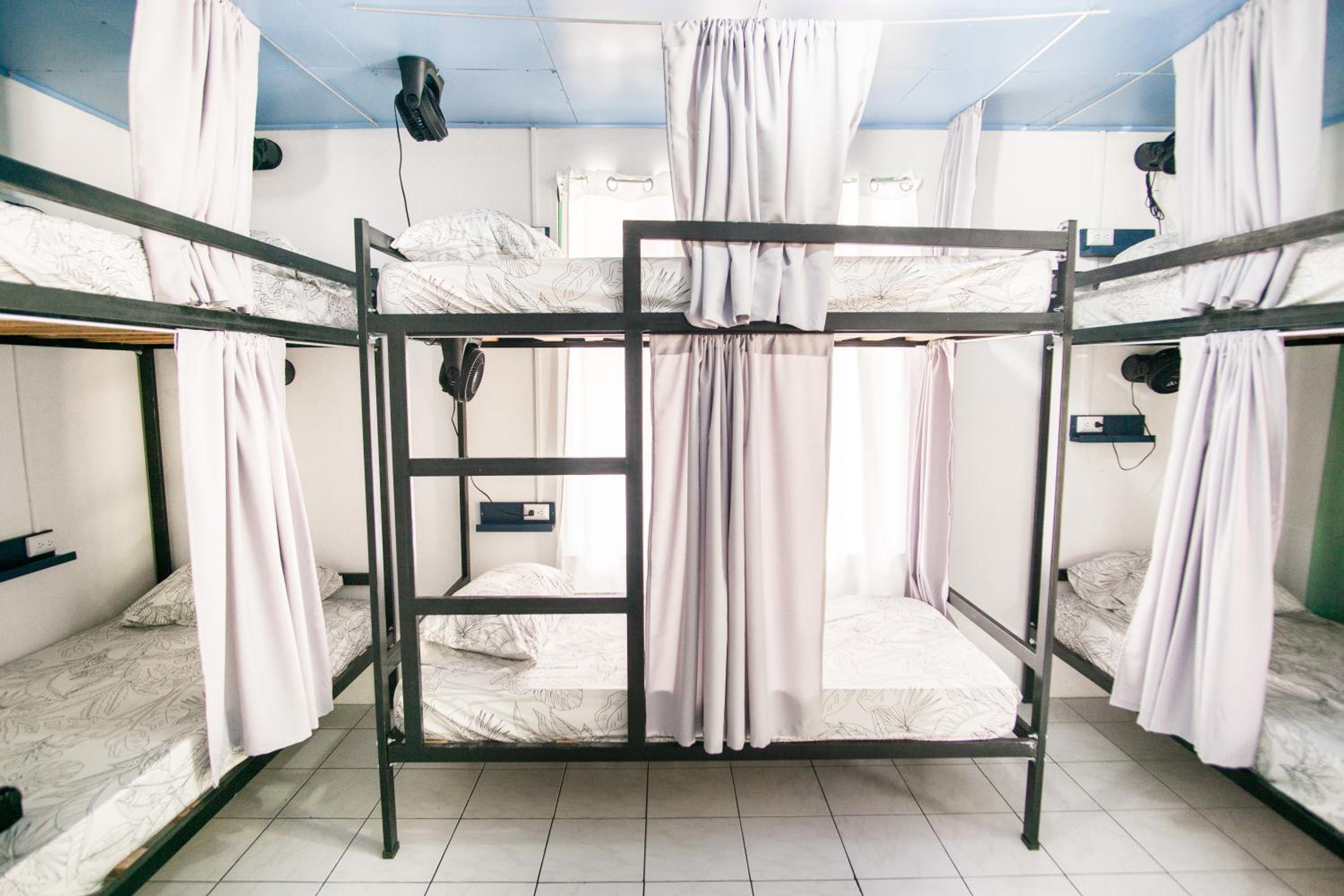 Bed in 6-Bed Mixed Dormitory Room photo 1