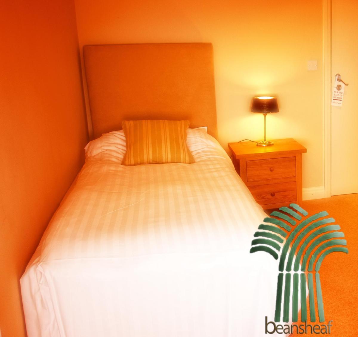 Single Room photo 1
