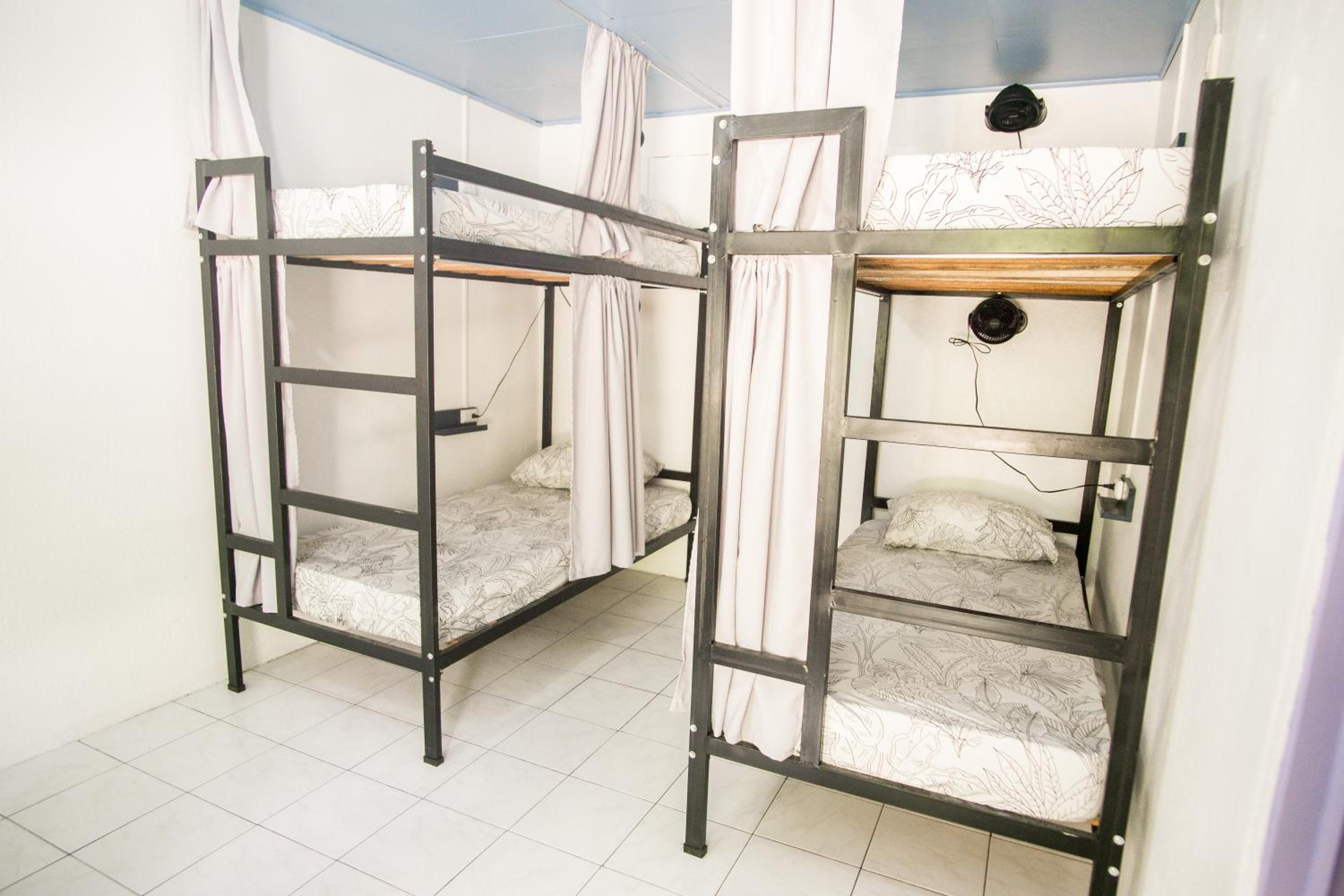 Bed in 6-Bed Mixed Dormitory Room photo 3