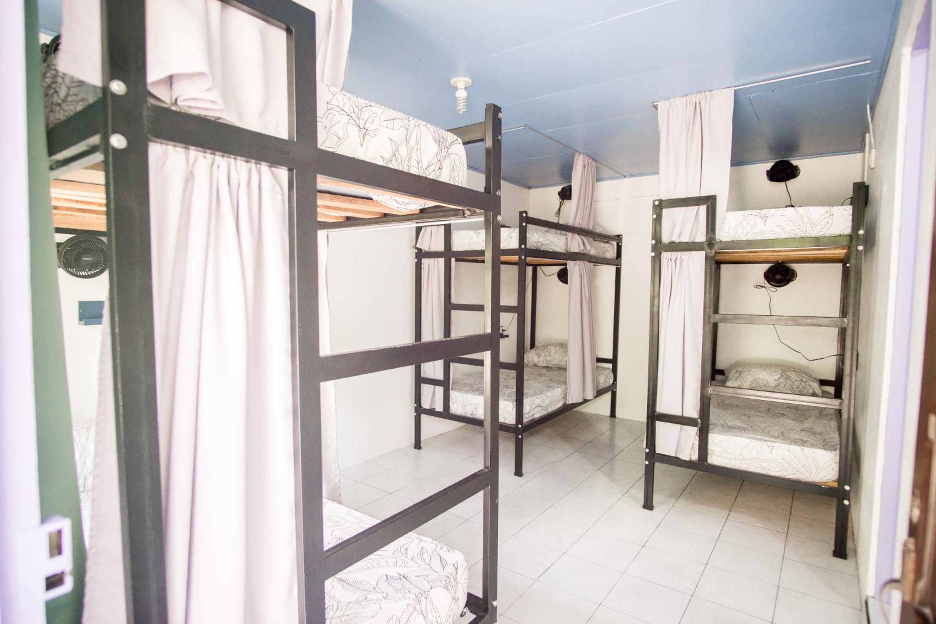 Bed in 6-Bed Mixed Dormitory Room photo 2