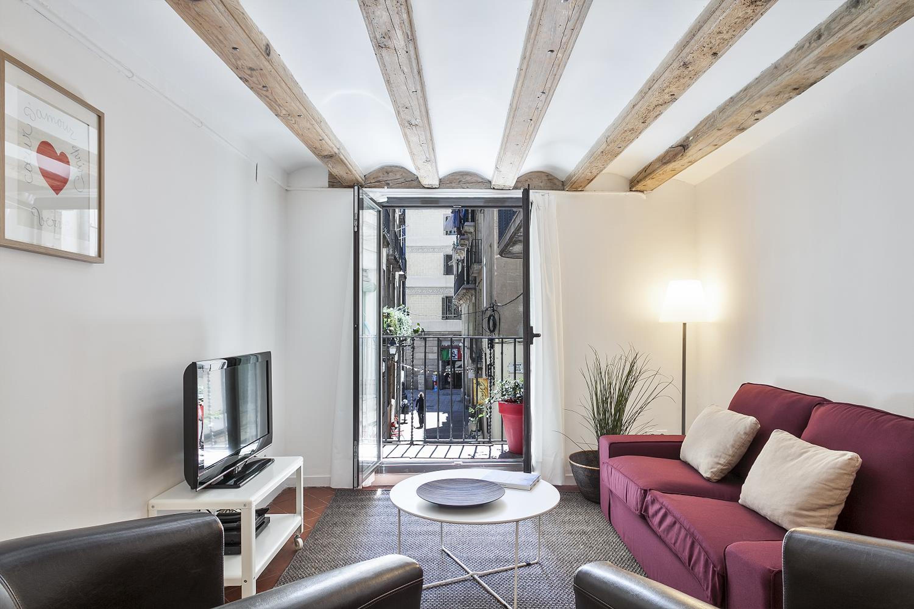 Large One-Bedroom Apartment photo 3