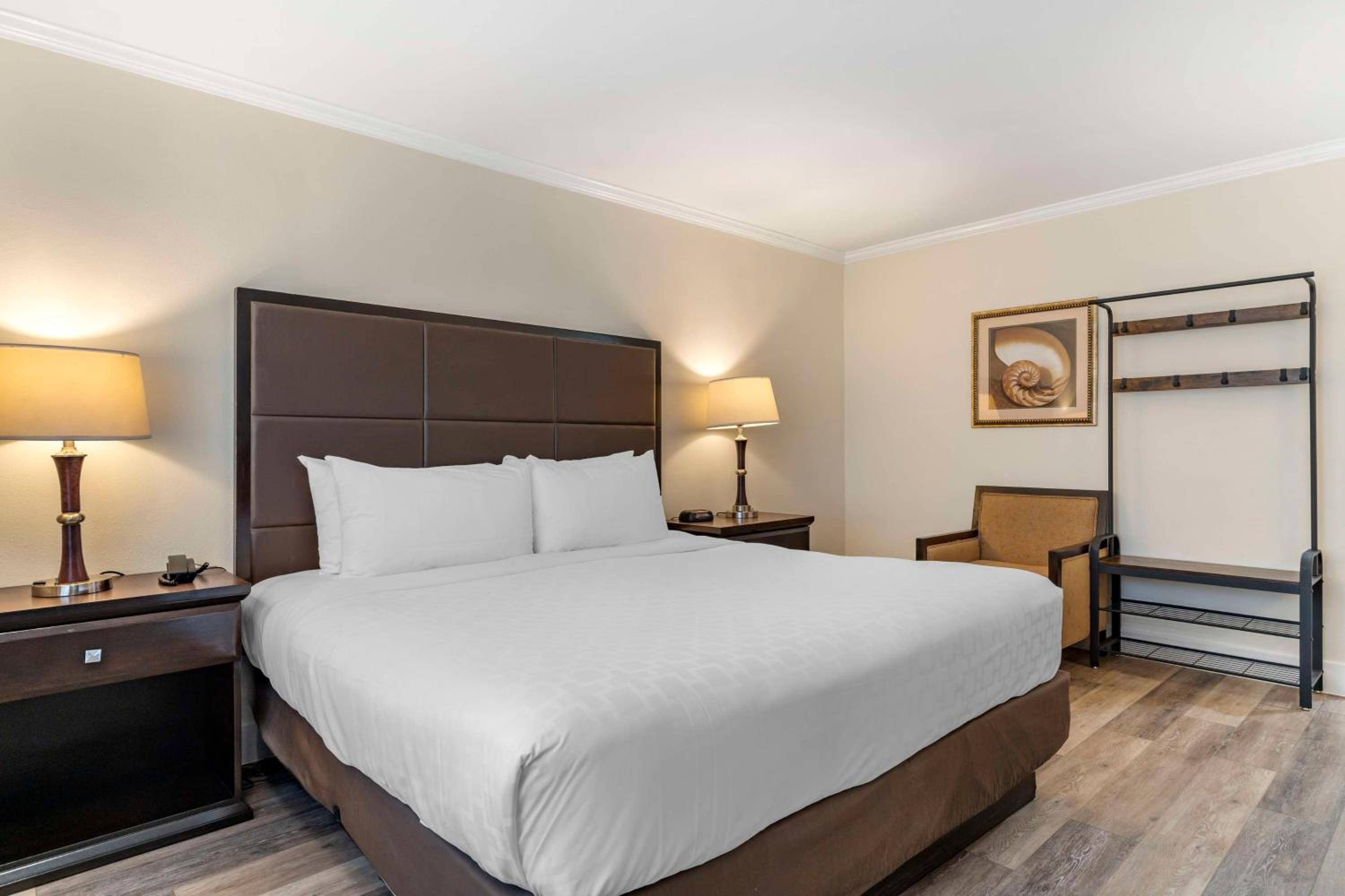 Two-Room King Suite with Living Room - Non-Smoking - Photo 5