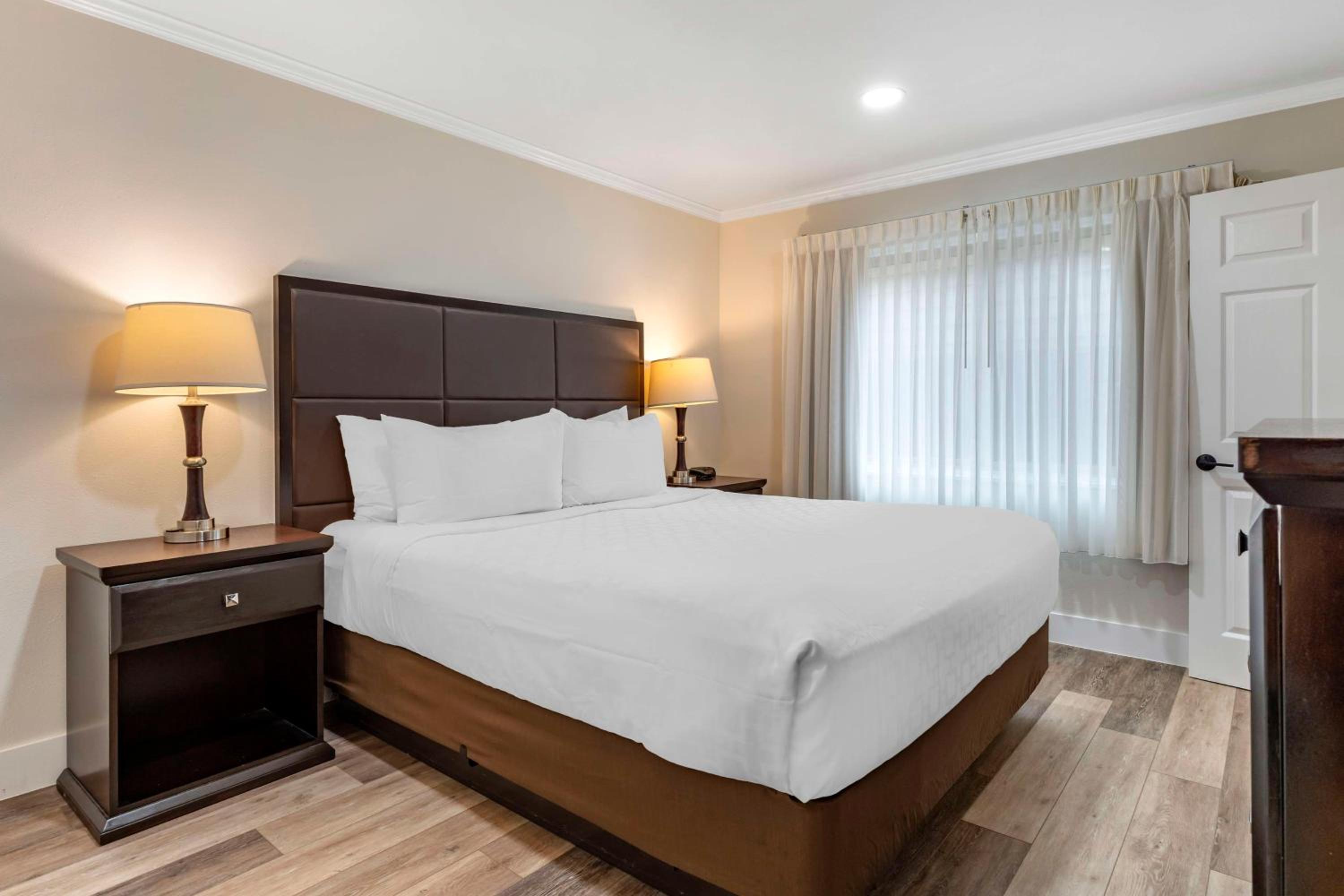 Queen Room with Roll-In Shower - Disability Access/Non-Smoking - Photo 9