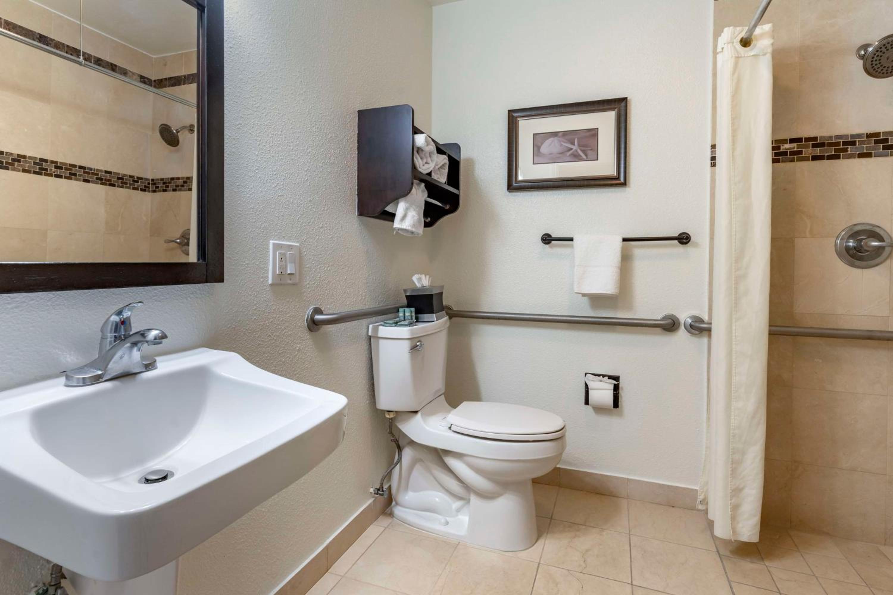 Queen Room with Walk-In Shower - Disability Access/Non-Smoking - Photo 8