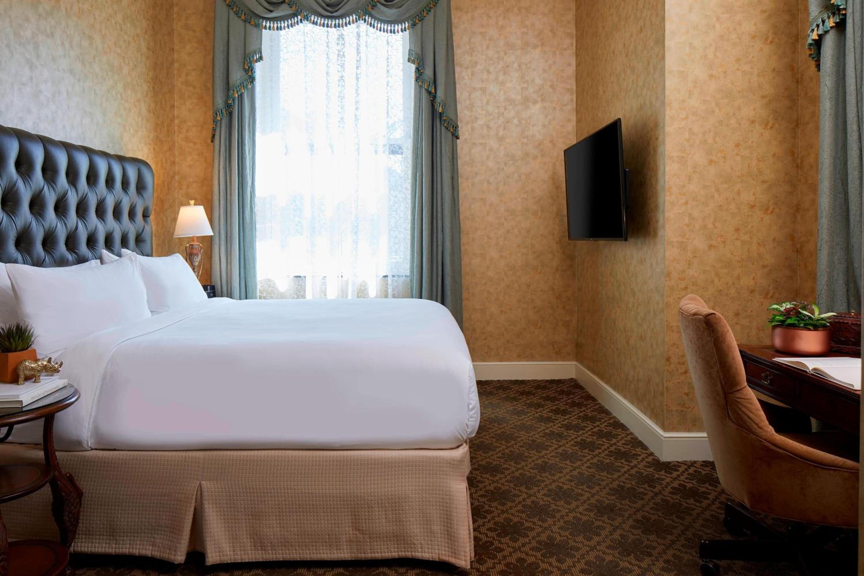 Large King Suite - Photo 4