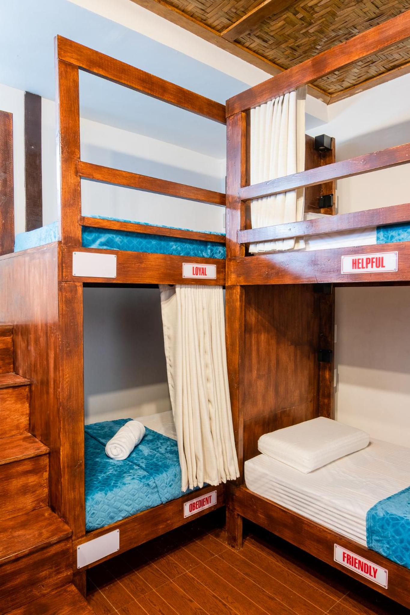 Bunk Bed in Mixed Dormitory Room photo 3