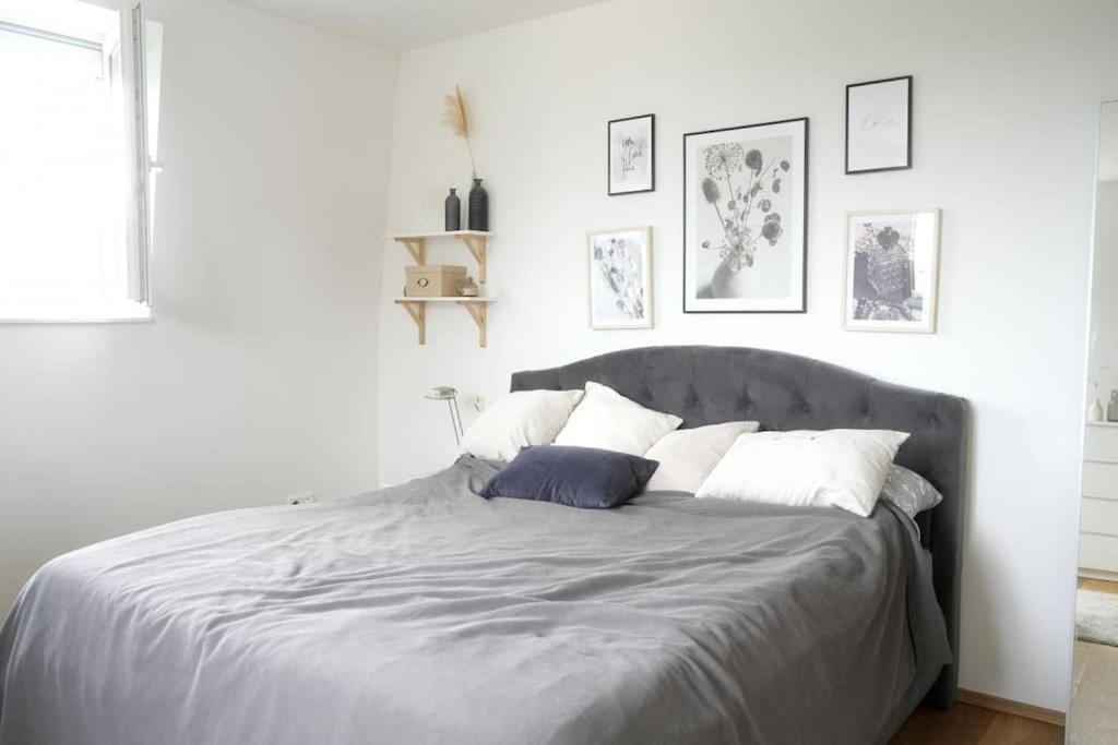 One-Bedroom Apartment photo 3