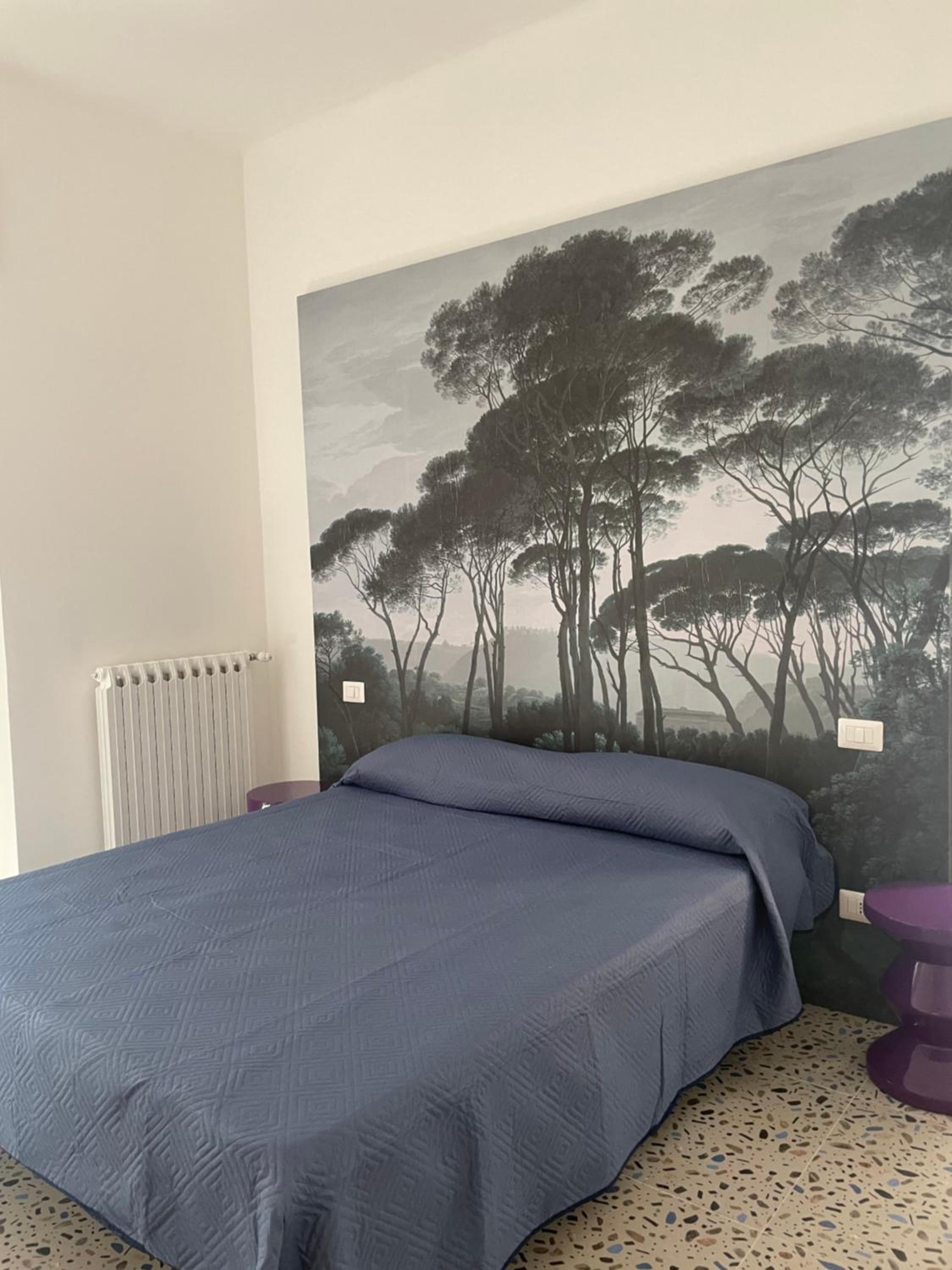 Deluxe Room photo 1