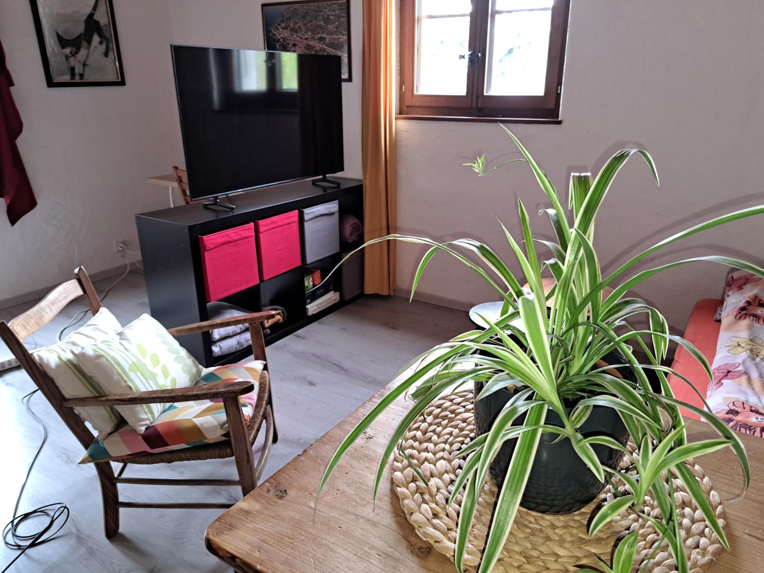 One-Bedroom House photo 1