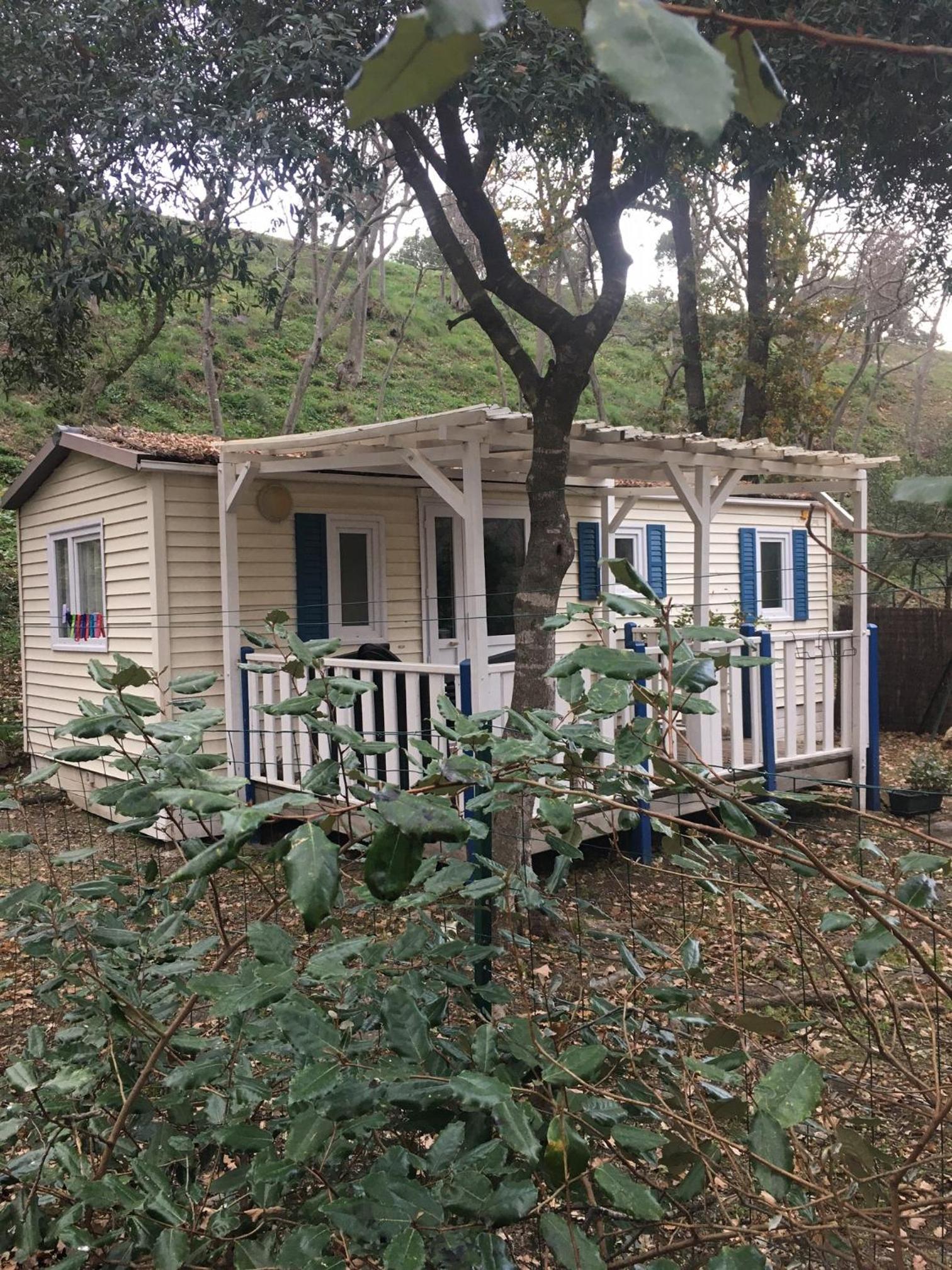 Mobile Home photo 2