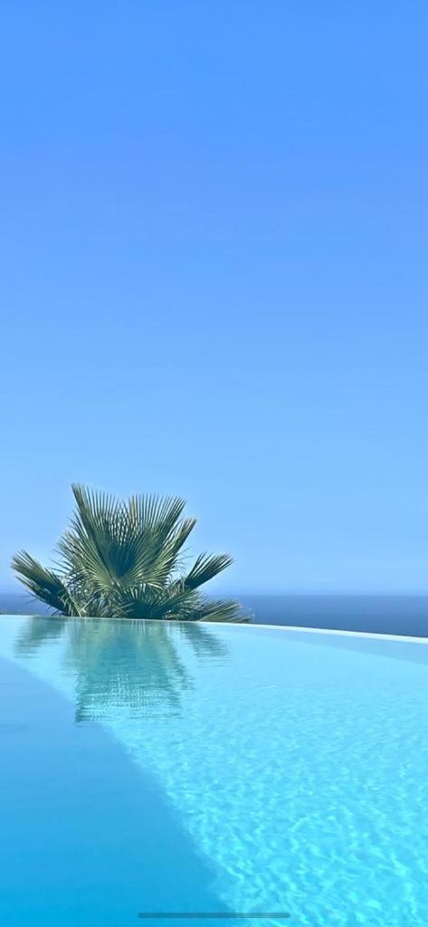 Studio with Sea View photo 2