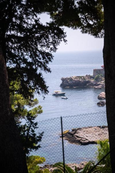 Apartment with Sea View photo 2