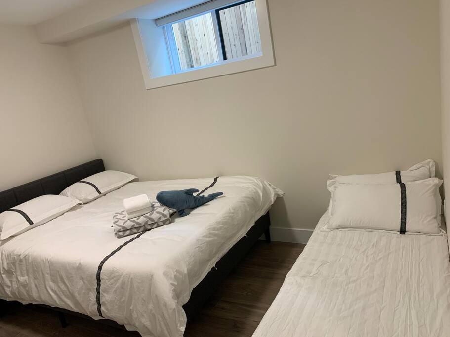 One-Bedroom House photo 3