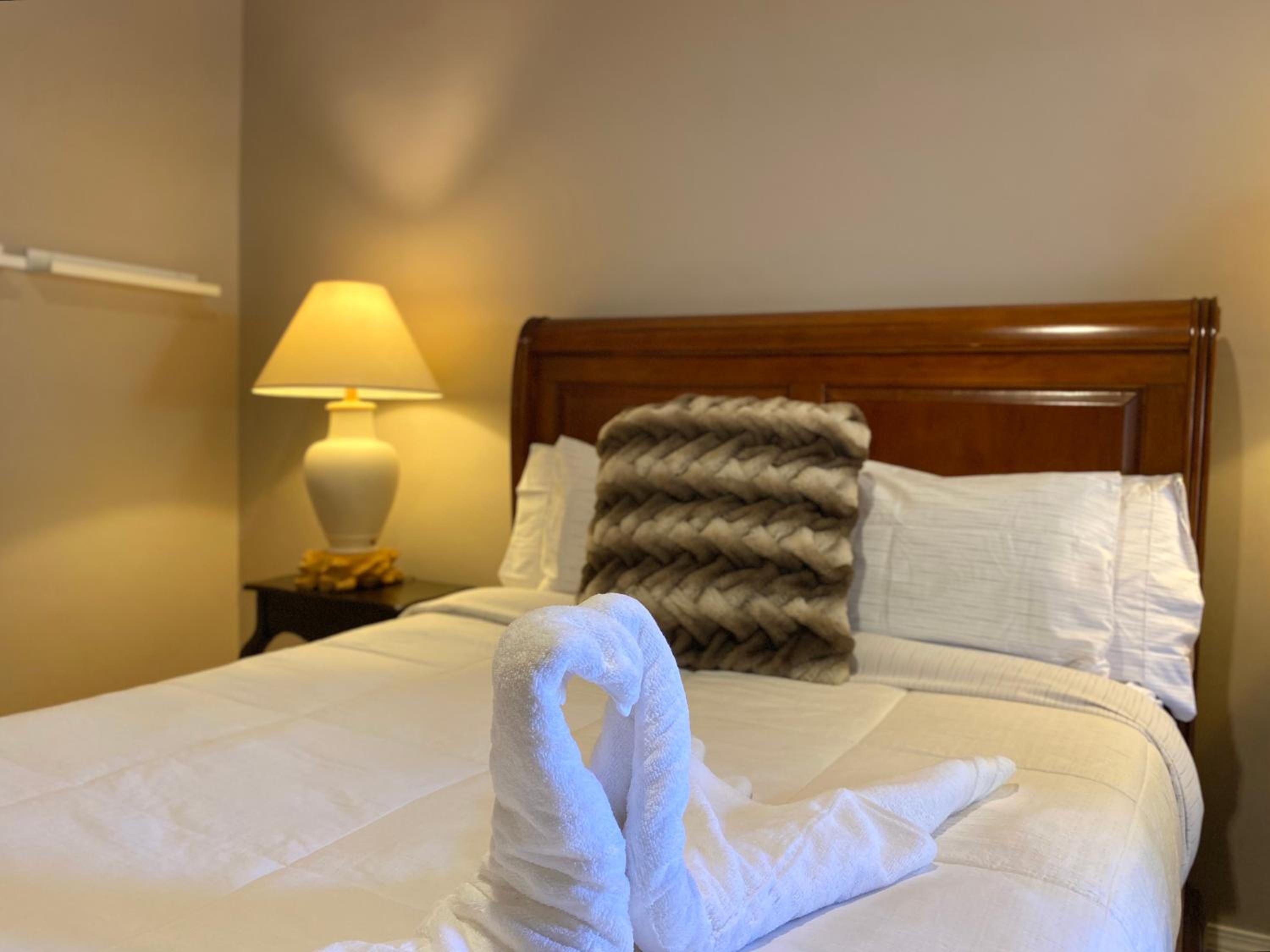 Suite - Photo 1