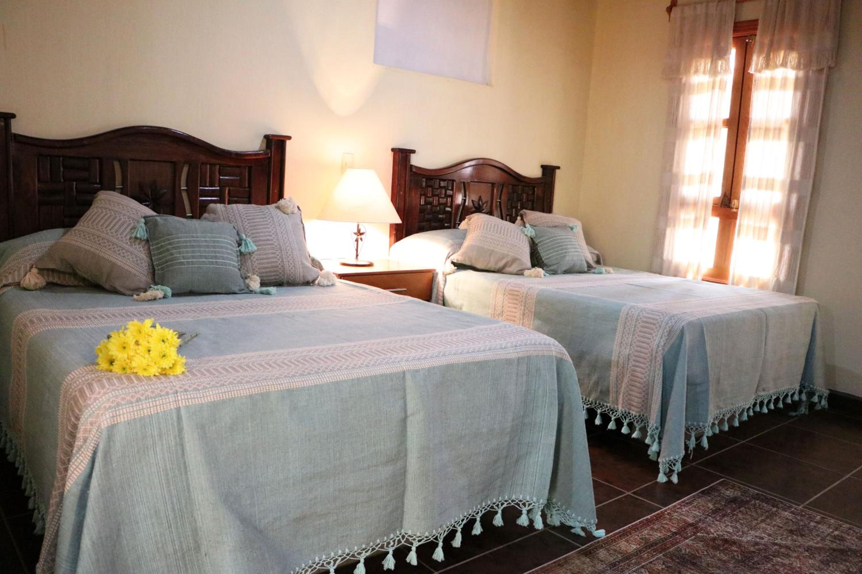 Twin Room photo 2