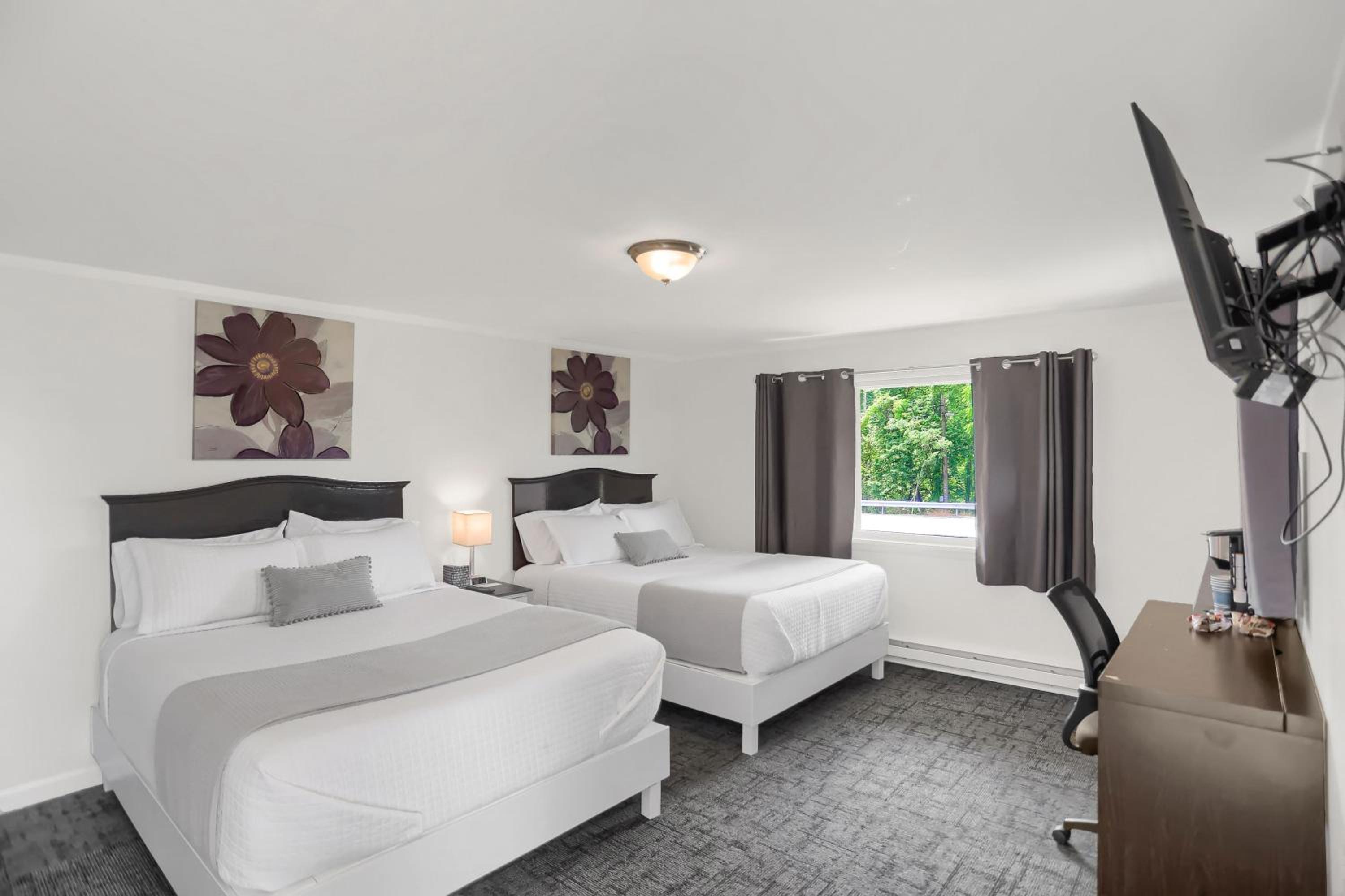 Queen Room - Photo 1