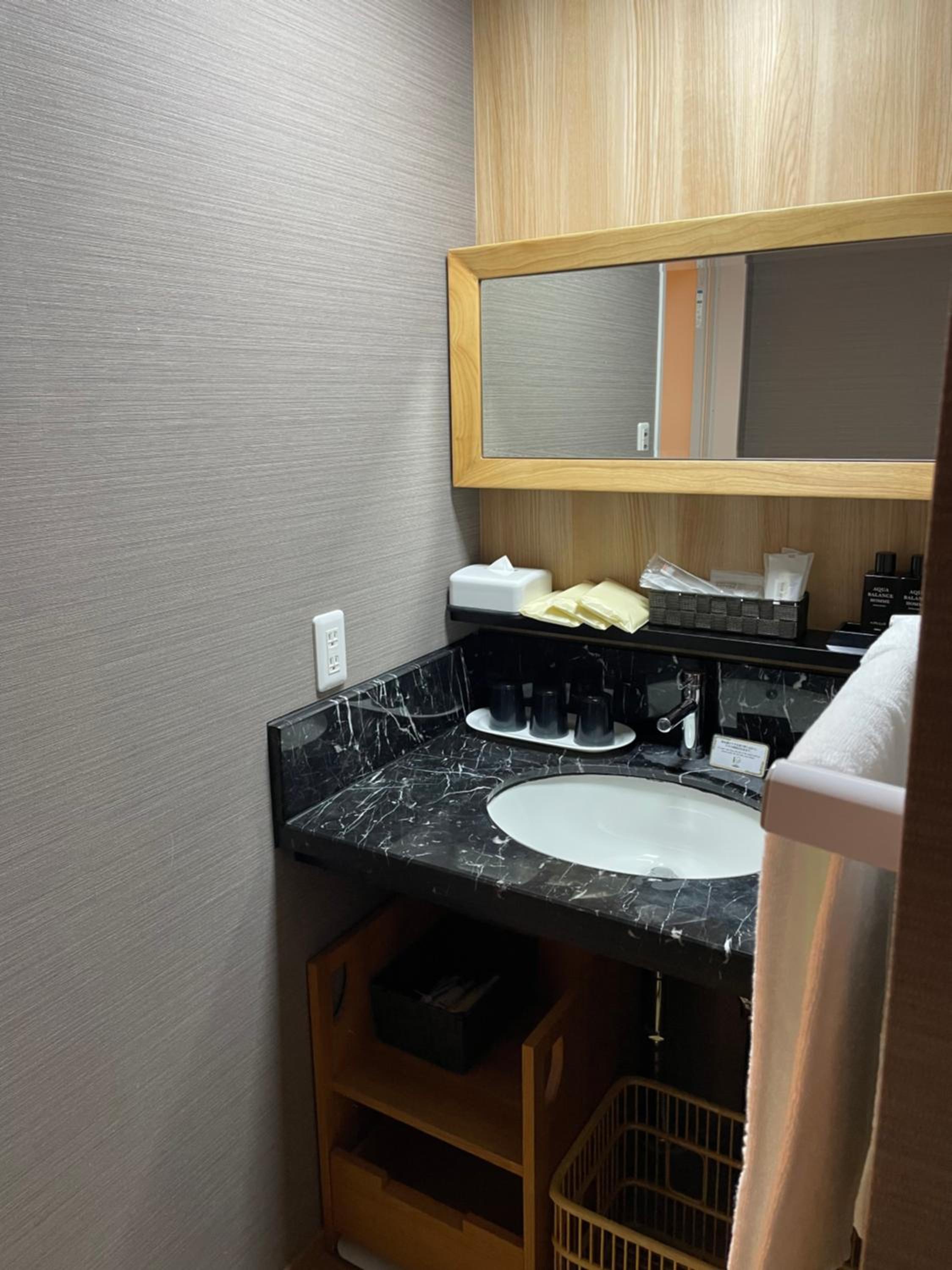 Deluxe Twin Room photo 3