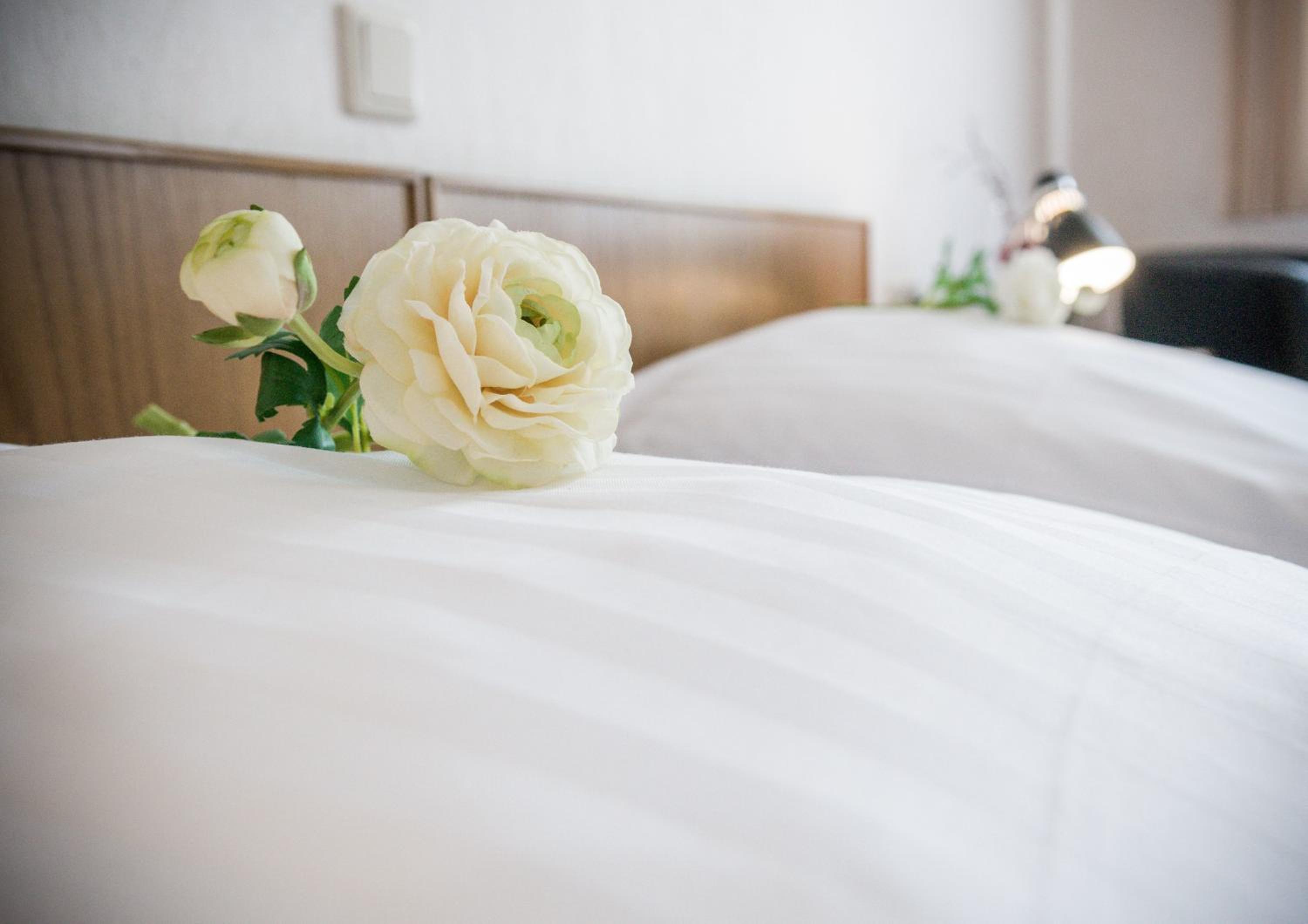 Double or Twin Room photo 1