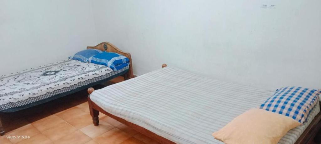 Economy Triple Room photo 2