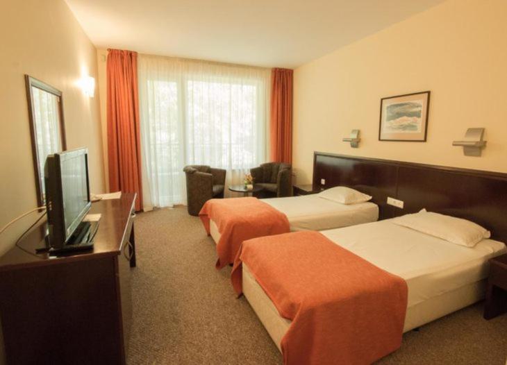 Twin Room photo 1