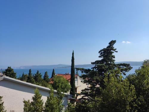 Studio with Sea View photo 1