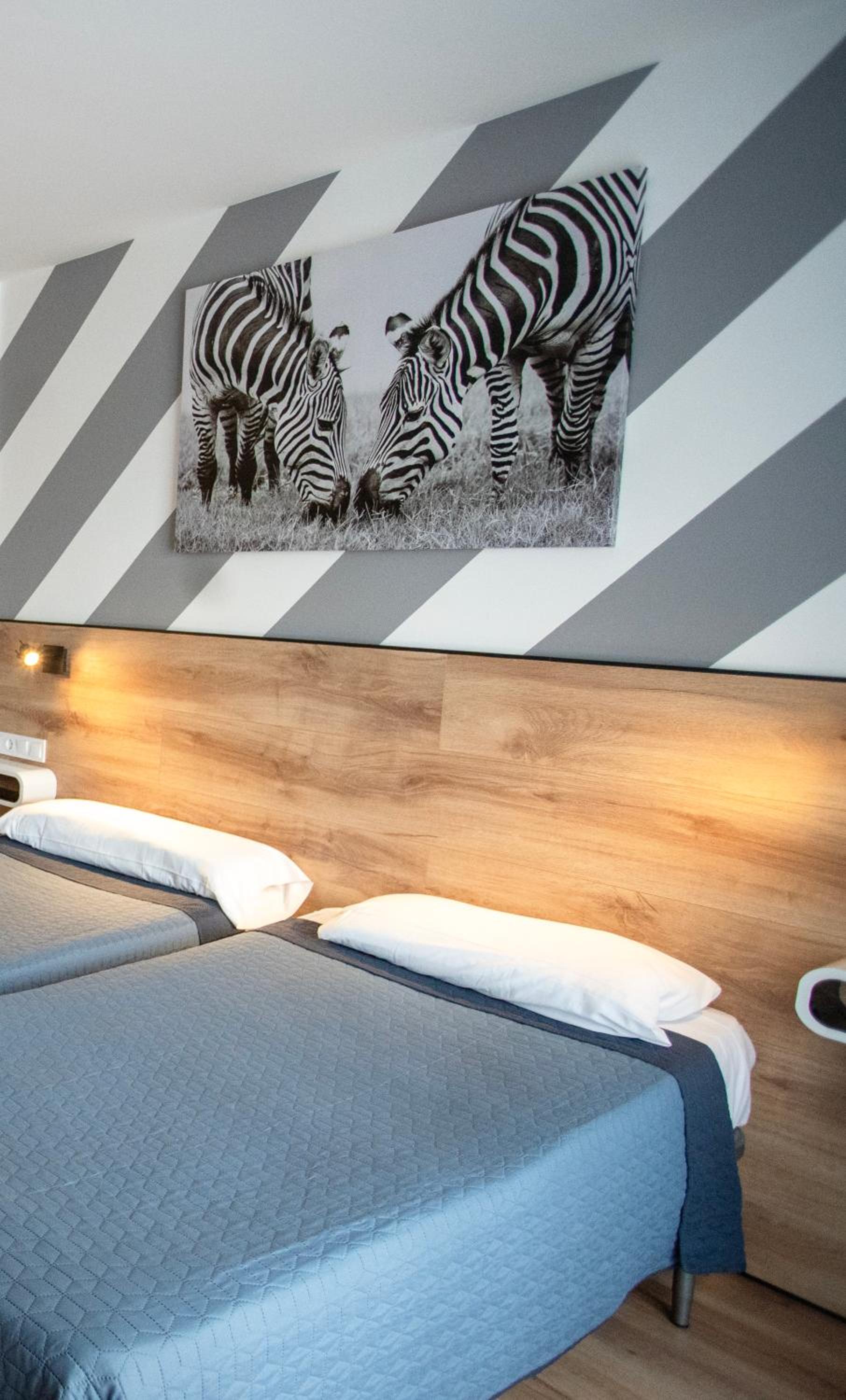 Twin Room - Photo 5