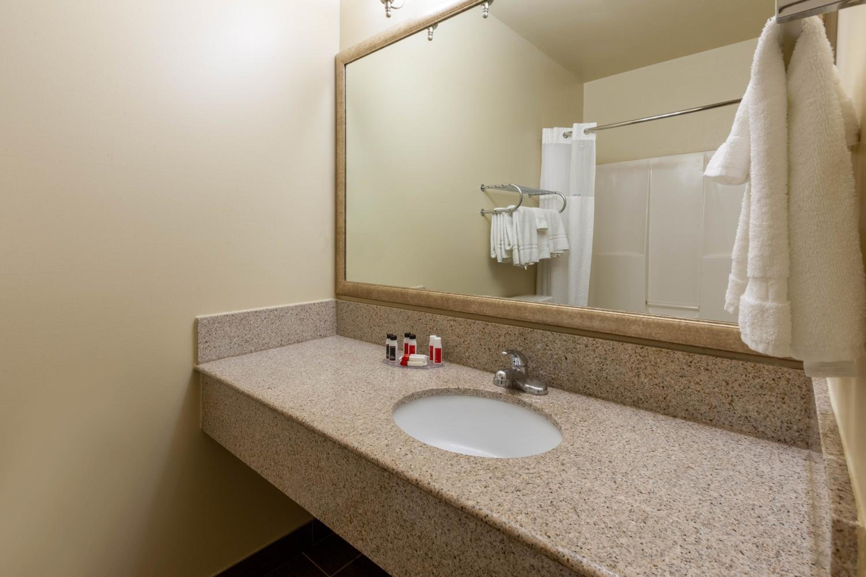 Deluxe King Studio Suite - Non-Smoking photo 3