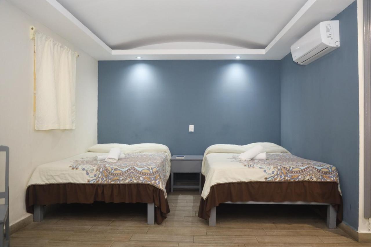 Twin Room photo 2