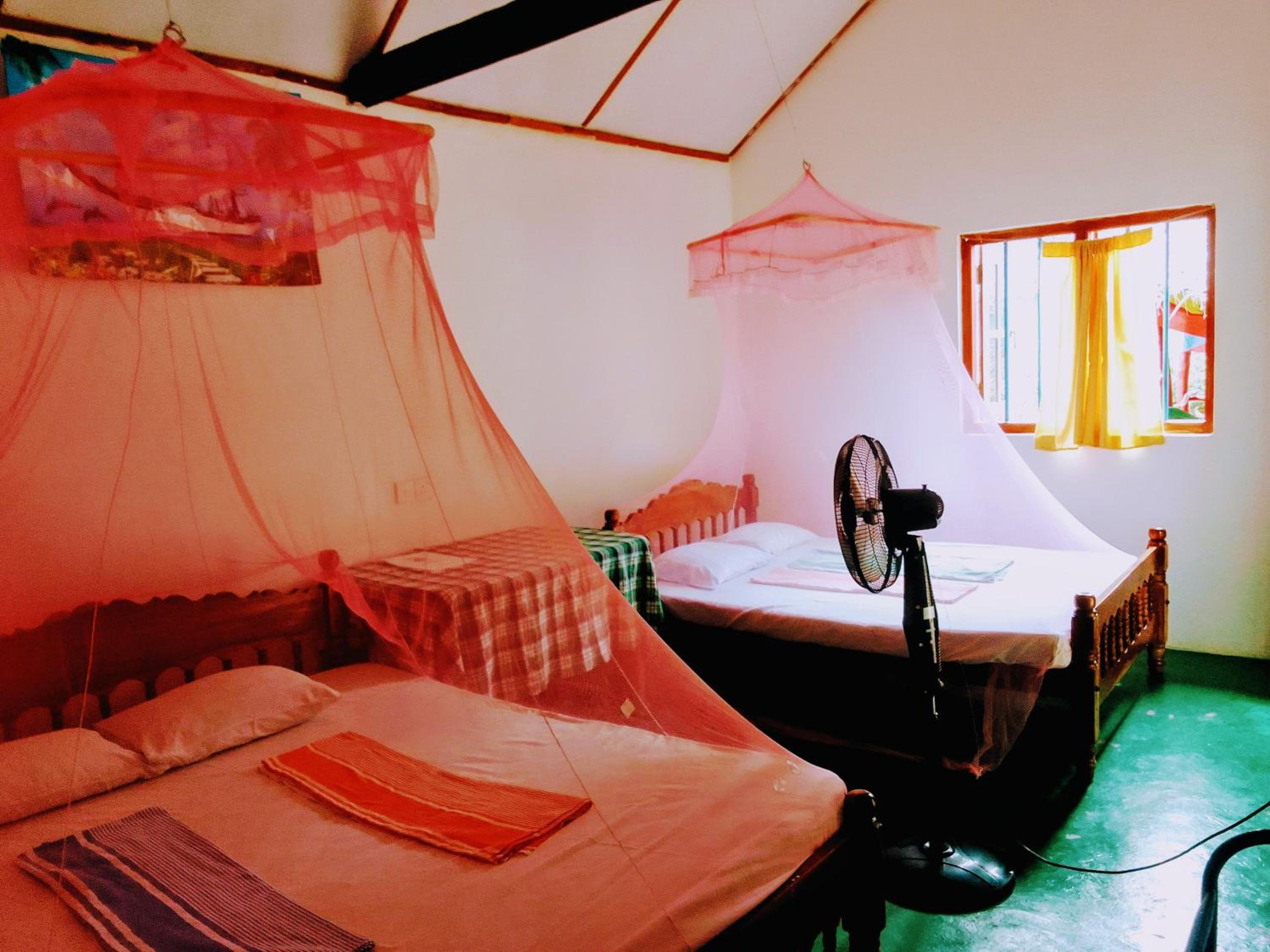 Family Bungalow photo 1