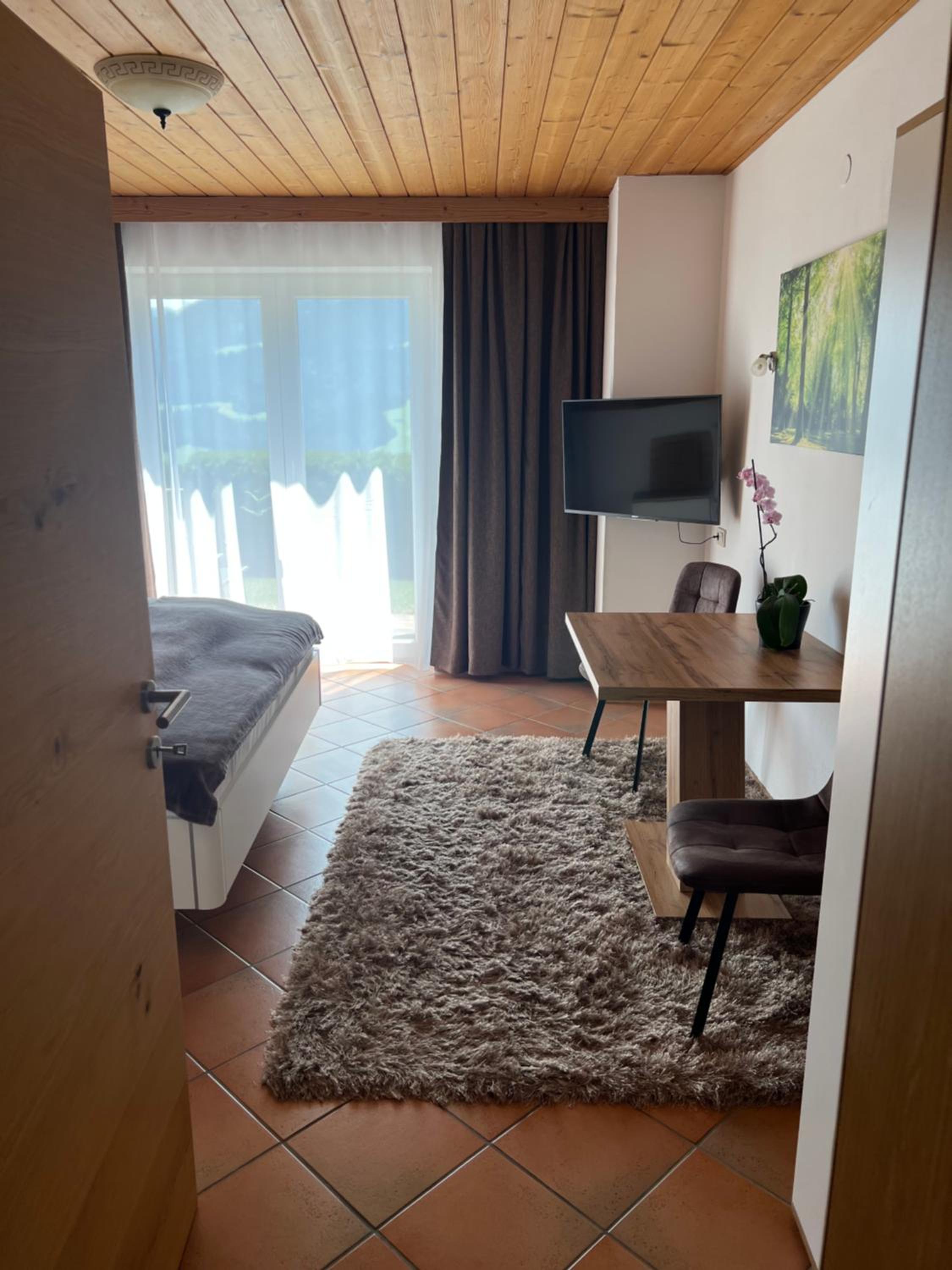 One-Bedroom Apartment - Photo 4