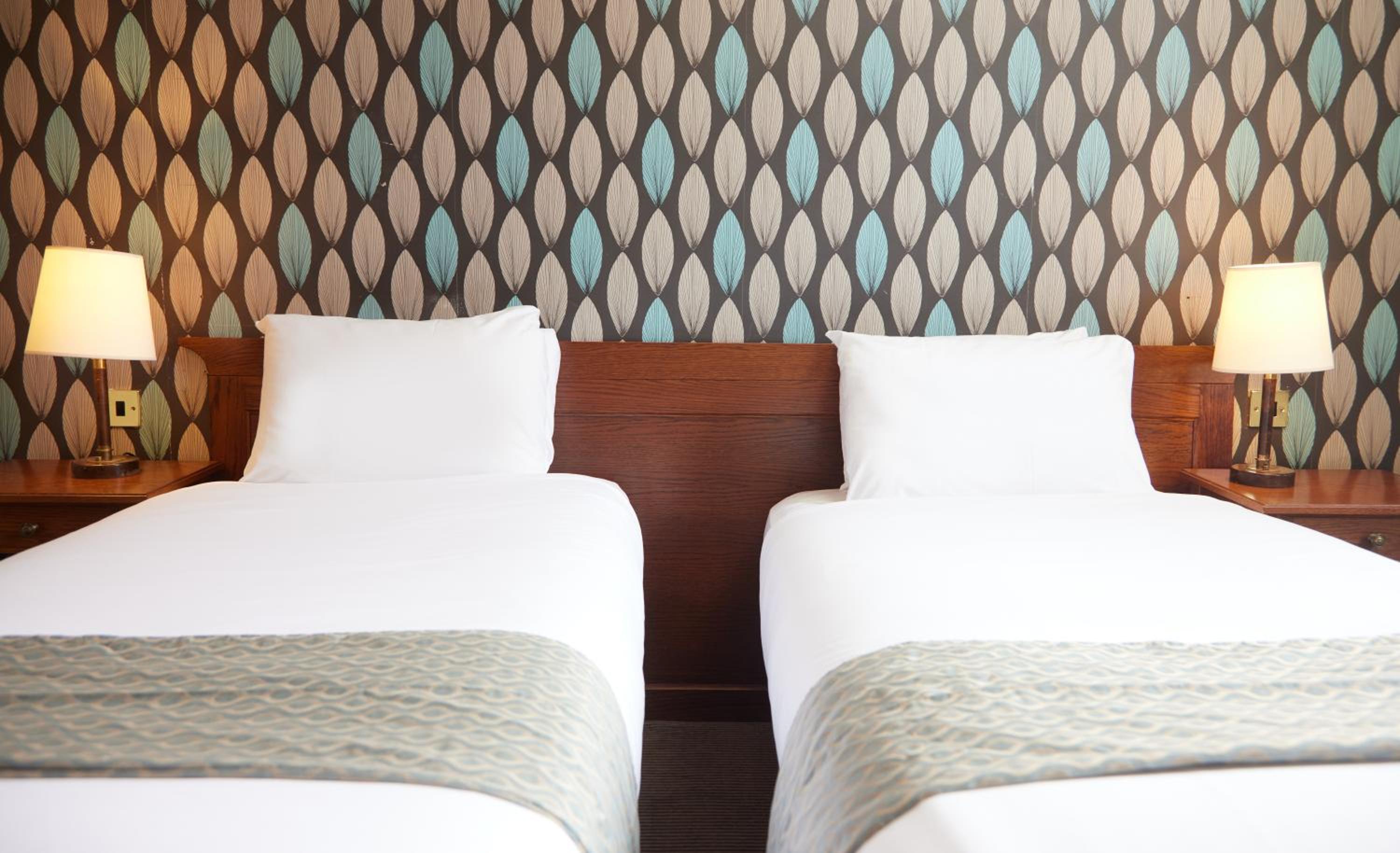 Twin Room photo 3