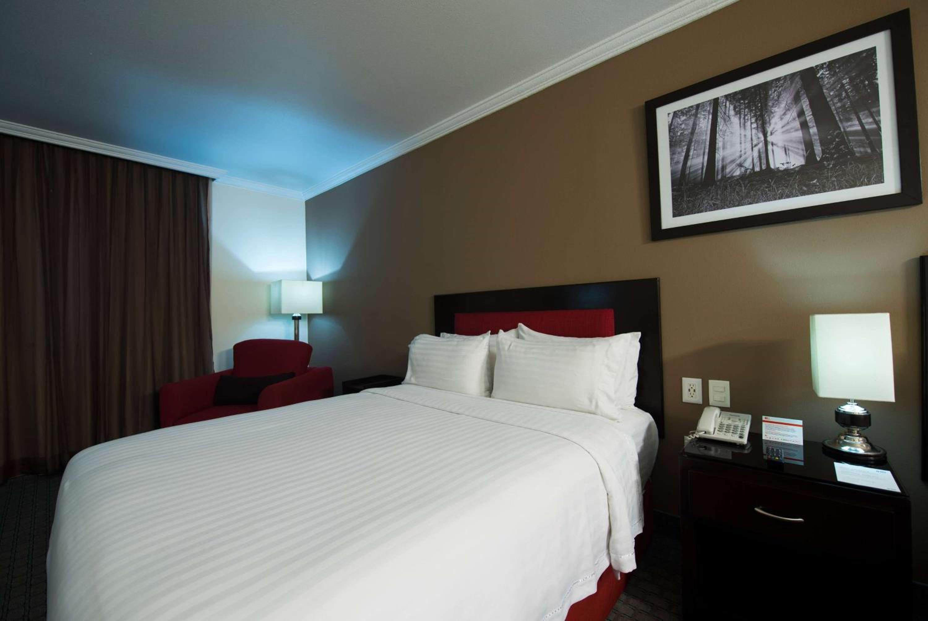 King Room - Non-Smoking - Photo 2