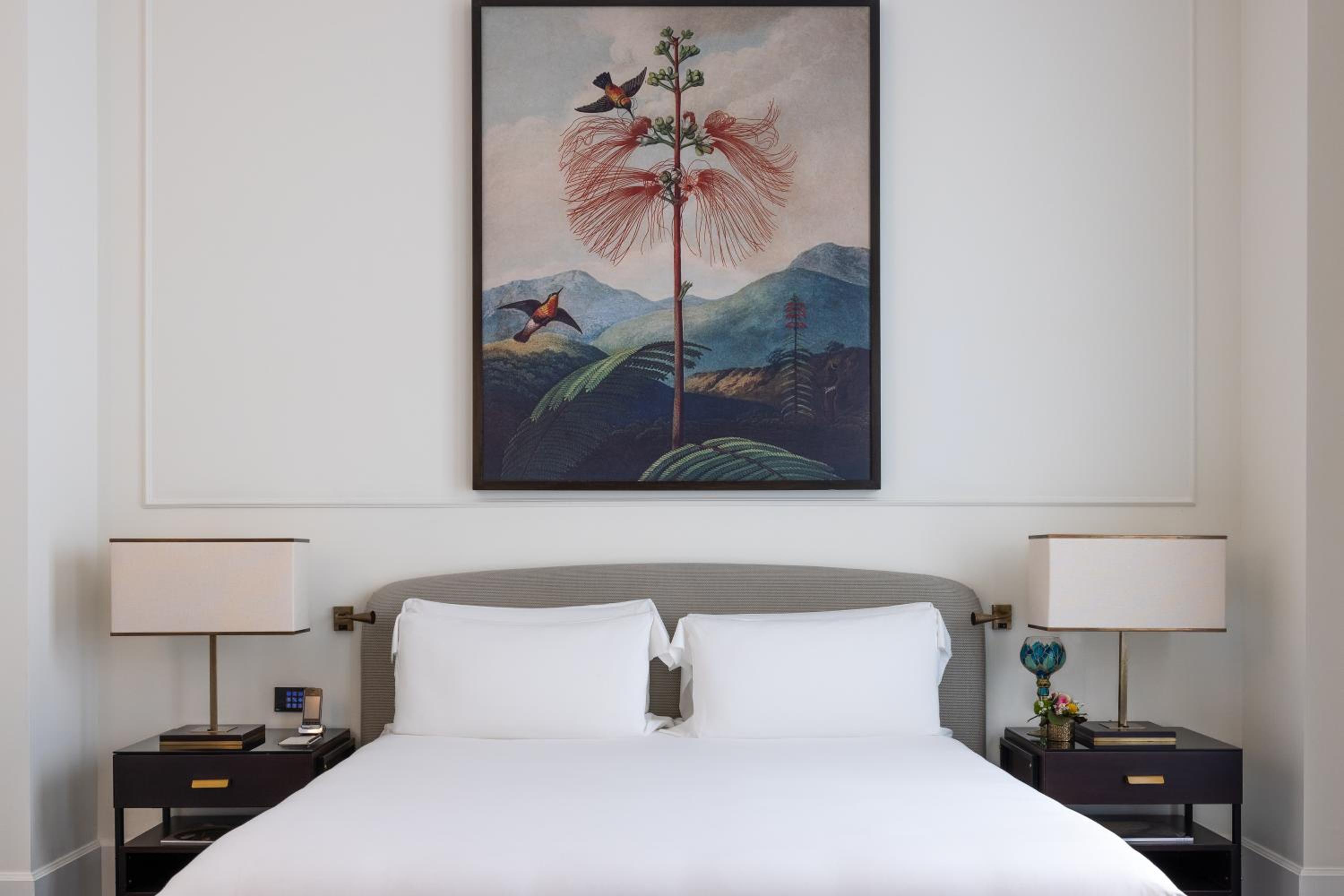 Superior Double or Twin Room photo 1