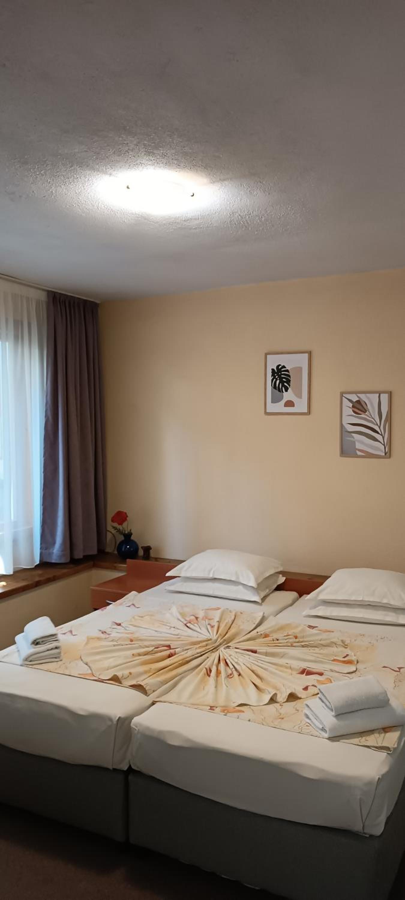 Studio with Terrace photo 2
