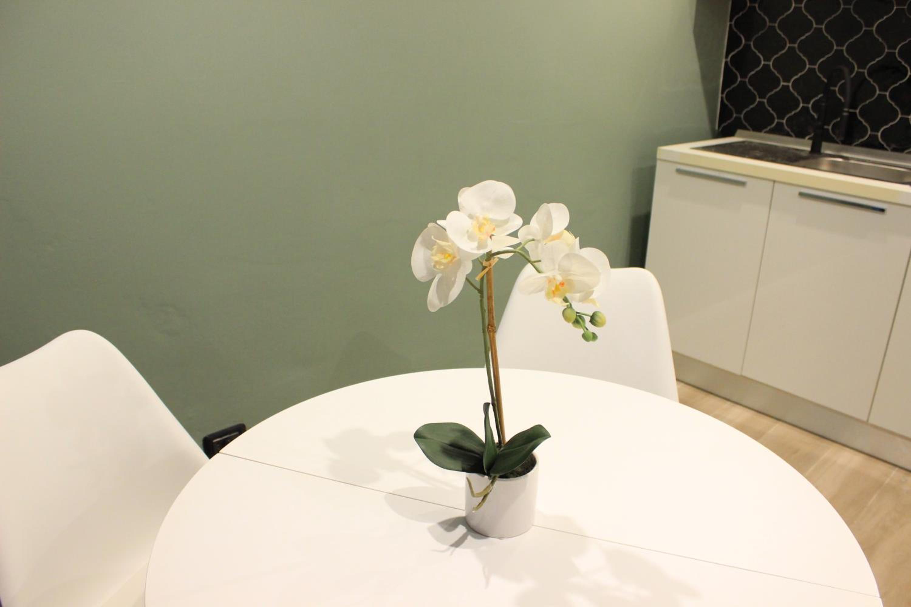 Duplex Studio - Photo 5